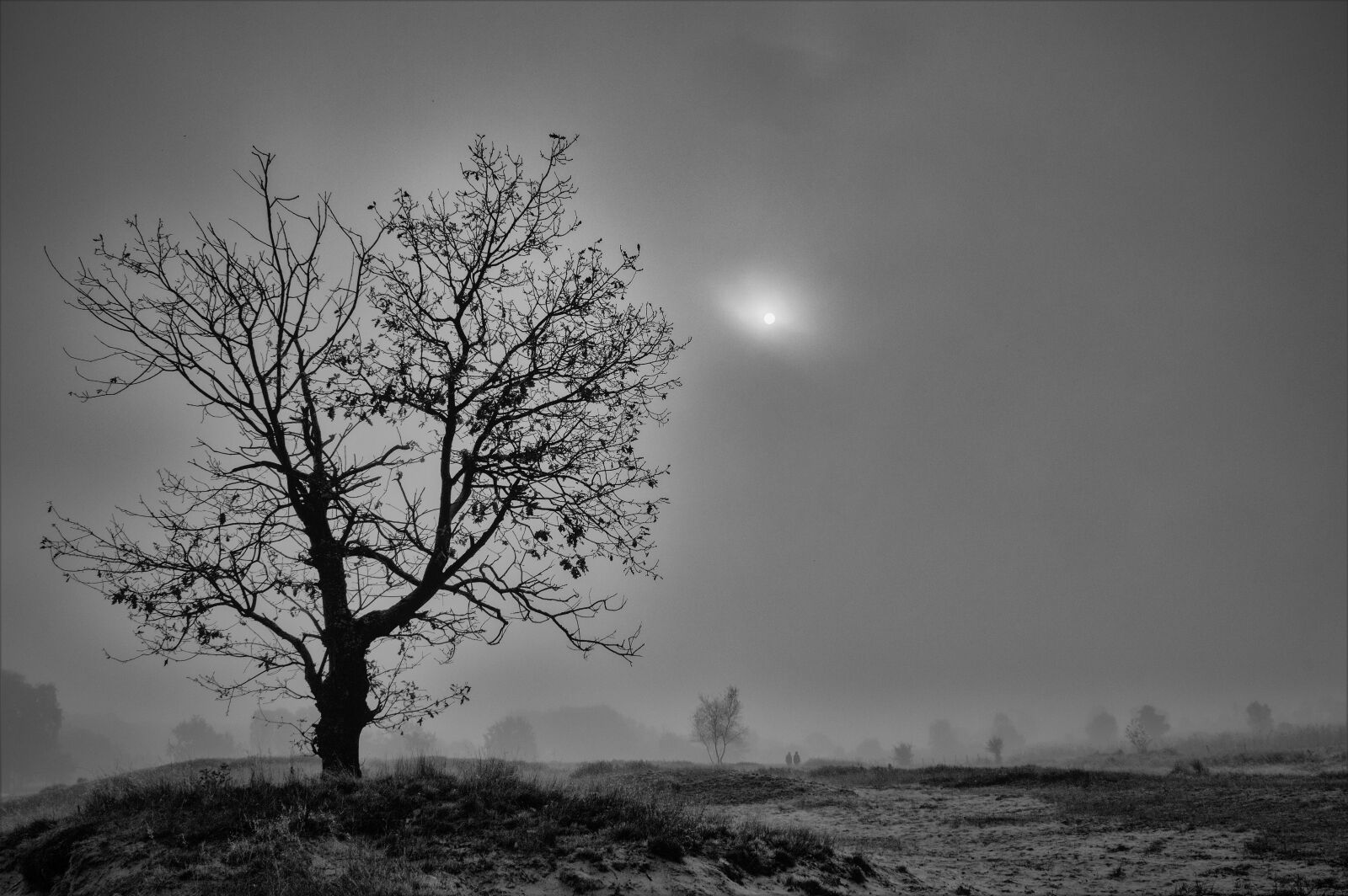 Nikon D3200 sample photo. Hamburg boberg dunes, silent photography