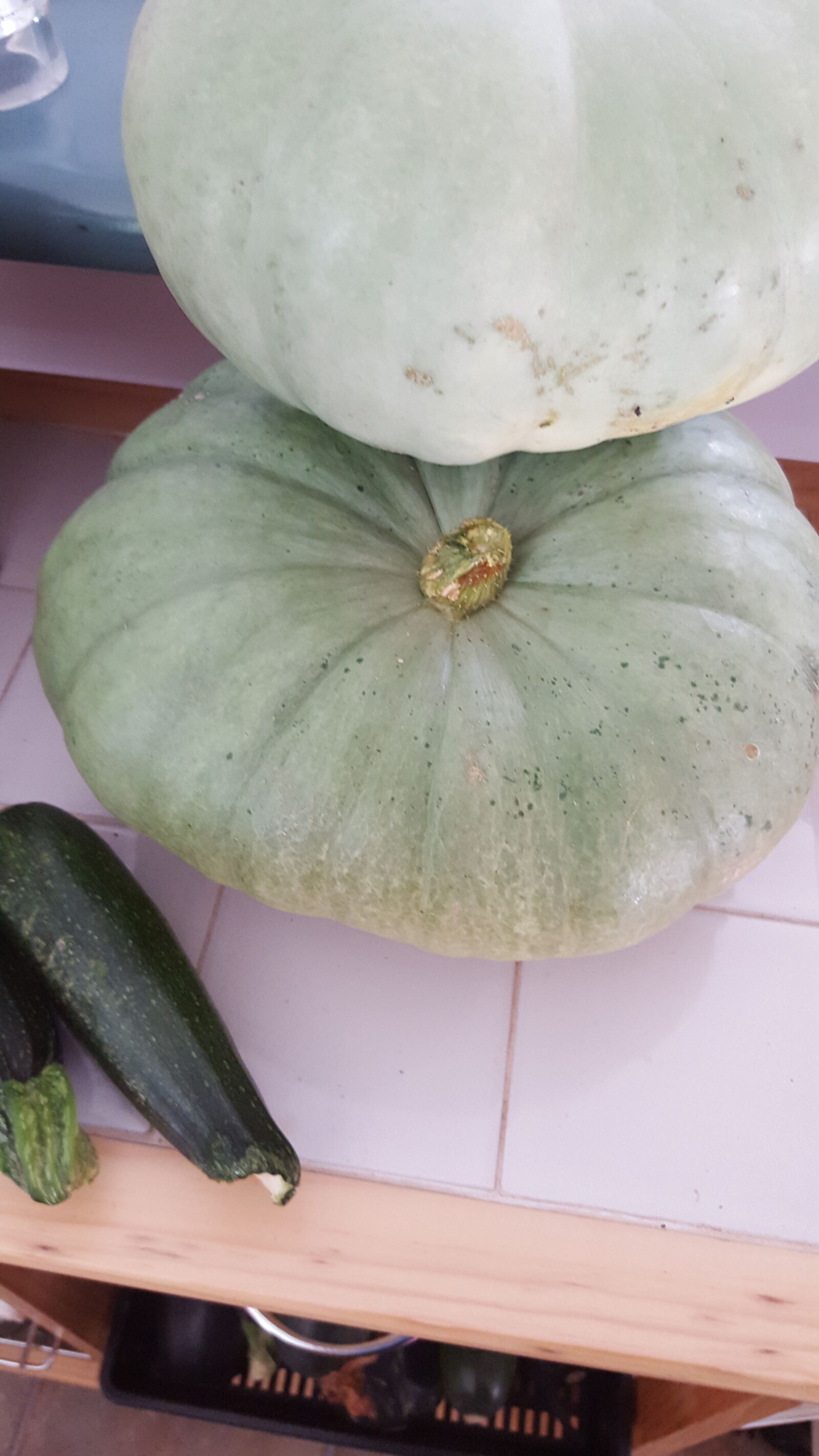 Samsung Galaxy S6 sample photo. Fruit, pumpkin, vegetable photography