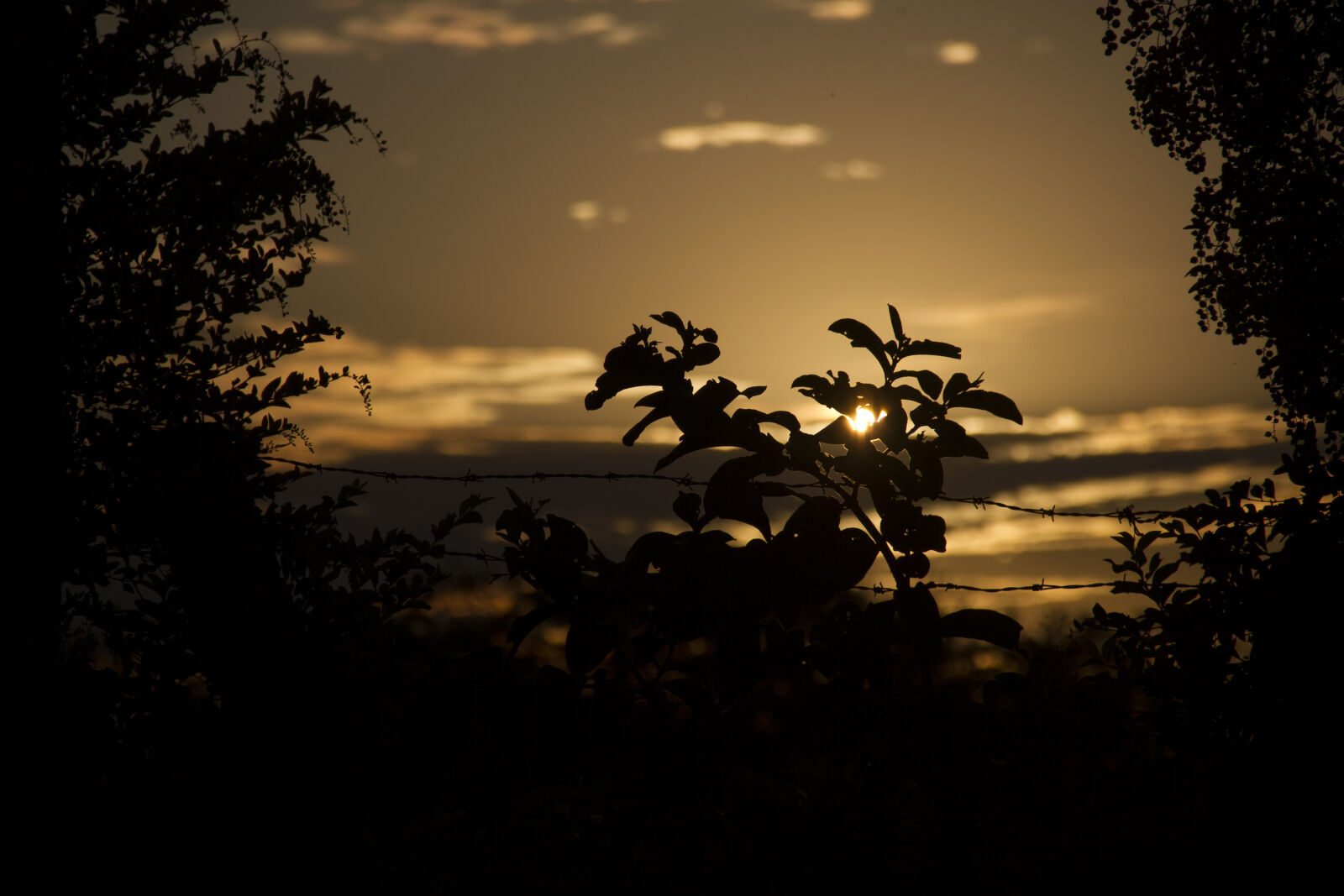 Canon EOS 7D sample photo. Brazil, nature, sunse photography