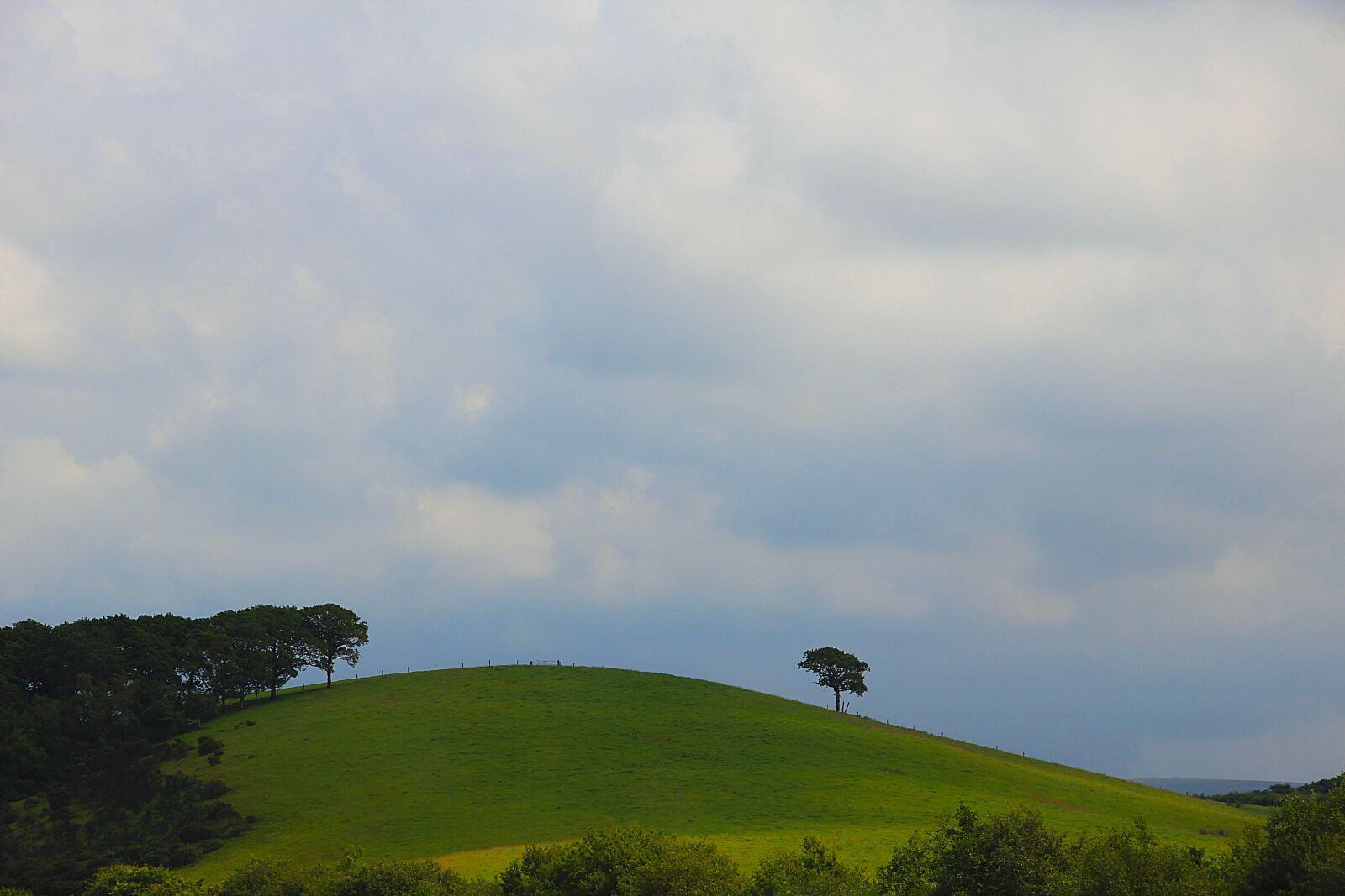 Canon EF-S 18-135mm F3.5-5.6 IS sample photo. Nature, alone, freedom photography