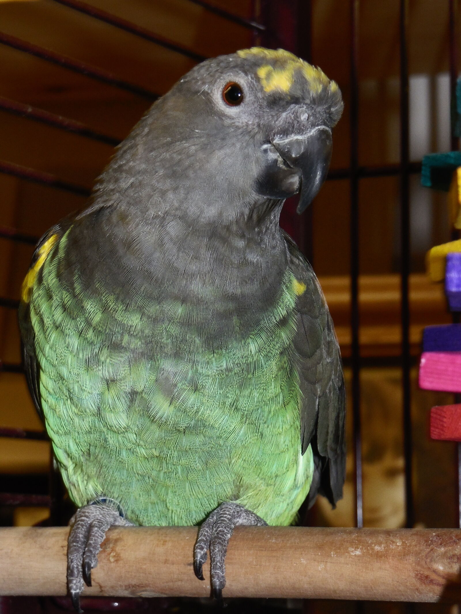 Samsung WB2200F sample photo