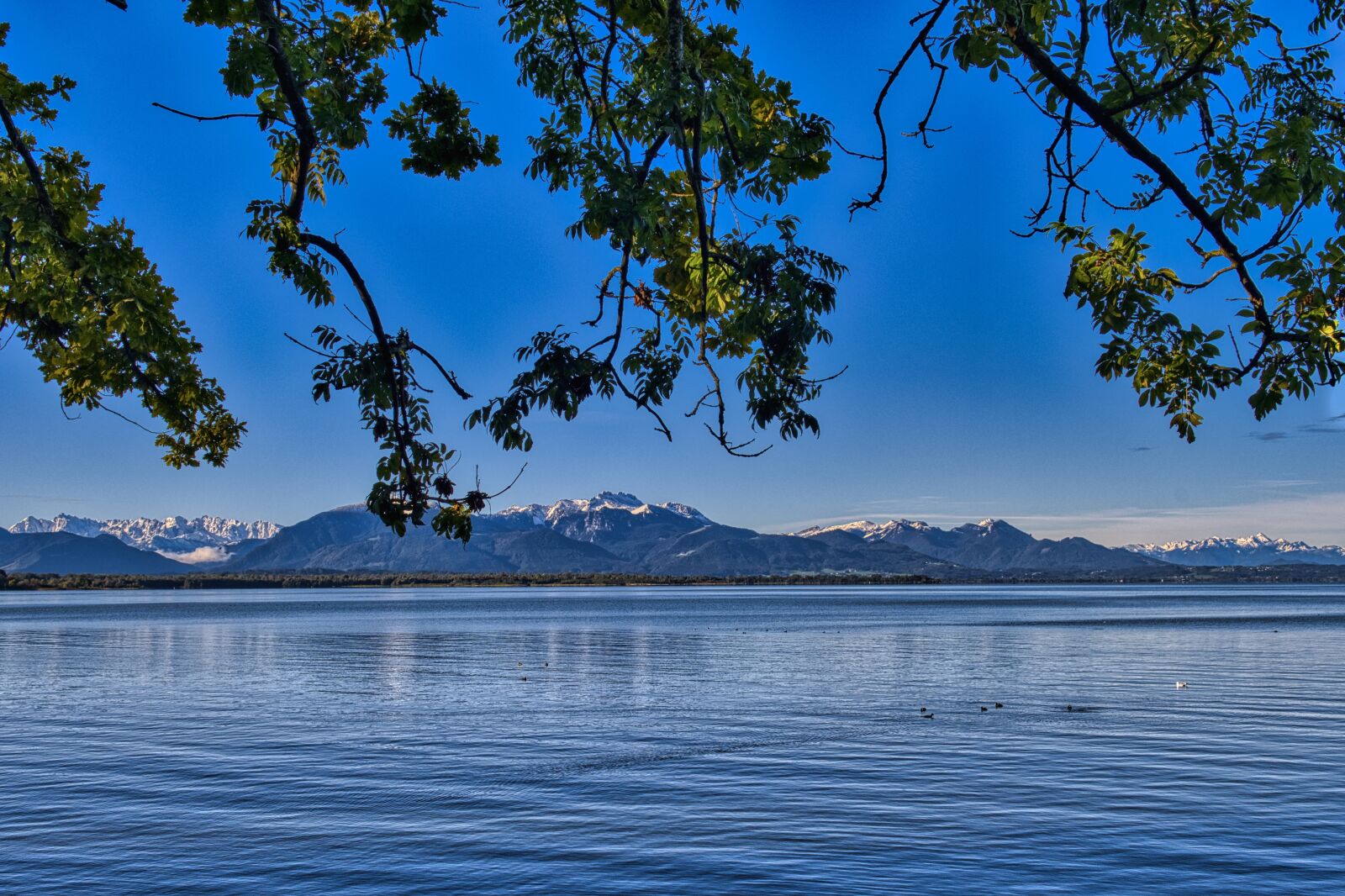 Nikon D7500 sample photo. Landscape, chiemgau, lake photography