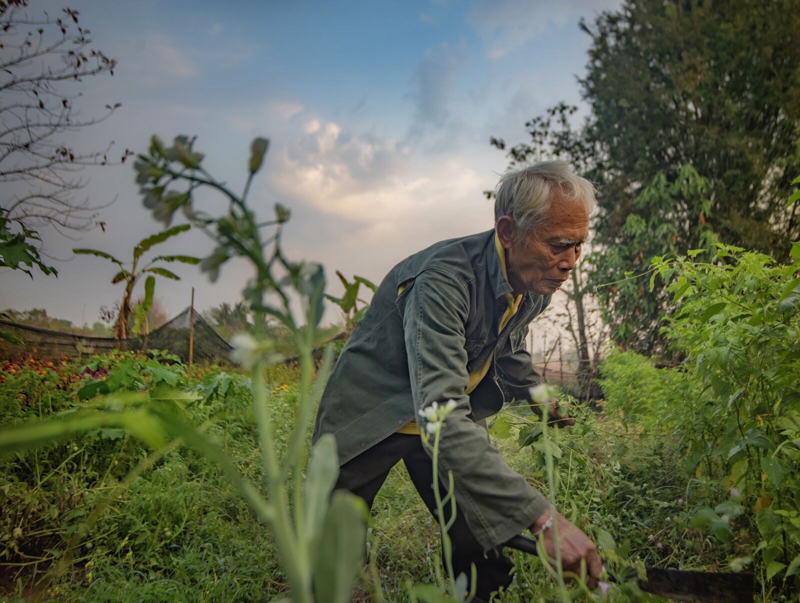 Nikon D750 sample photo. Farm man, thai farmer photography