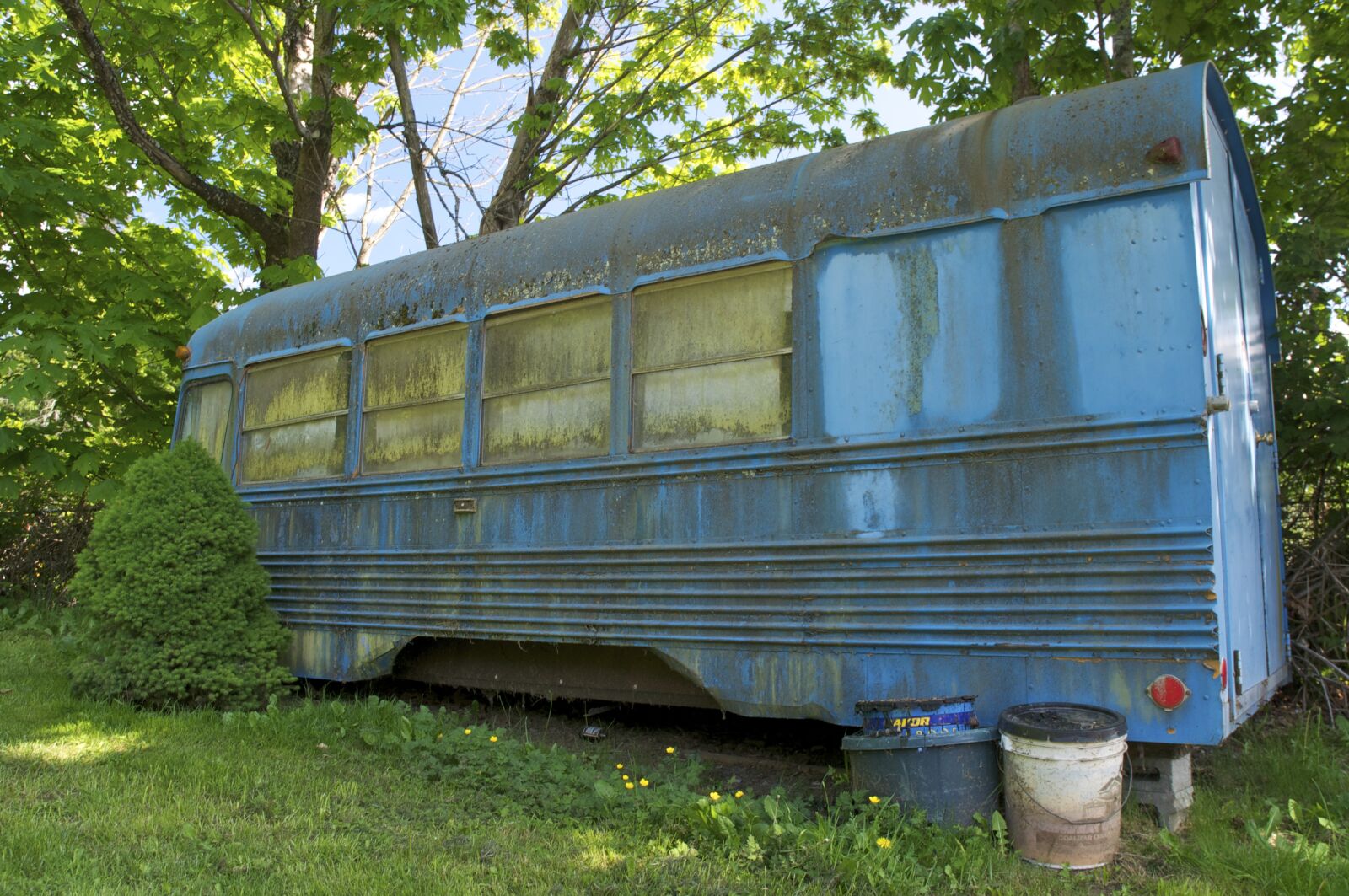Nikon D90 sample photo. School bus, derelict, abandoned photography