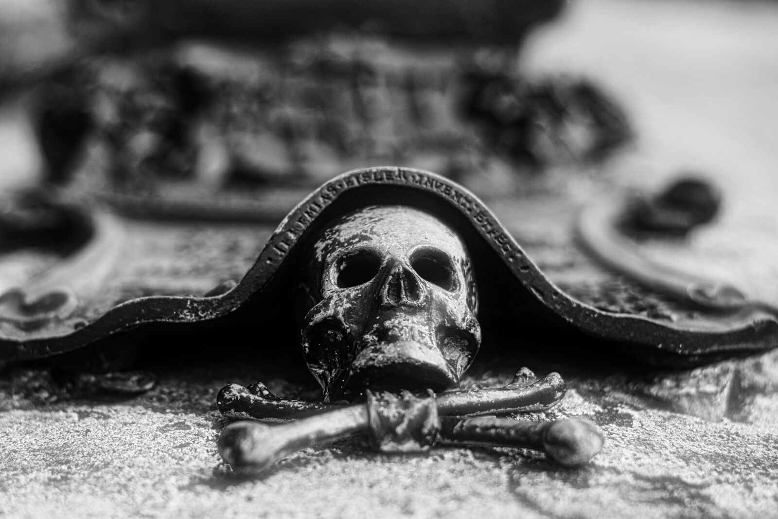Nikon D7200 sample photo. Skull, scary, skeleton photography