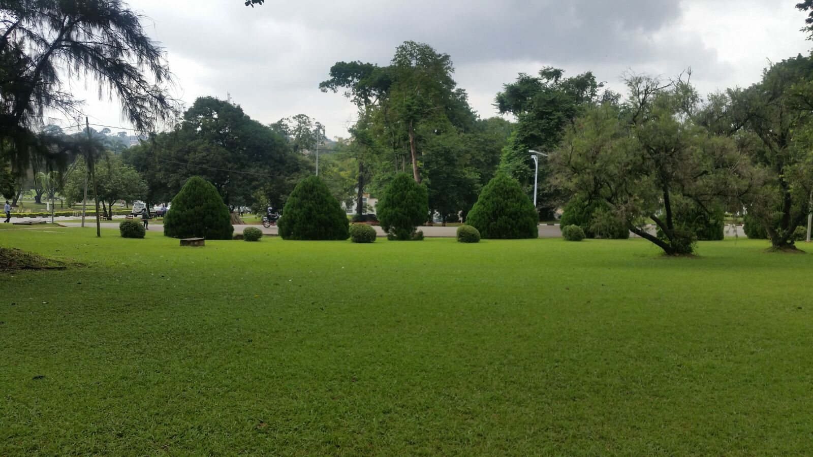 Samsung Galaxy S5 sample photo. Green, nature, landscape photography