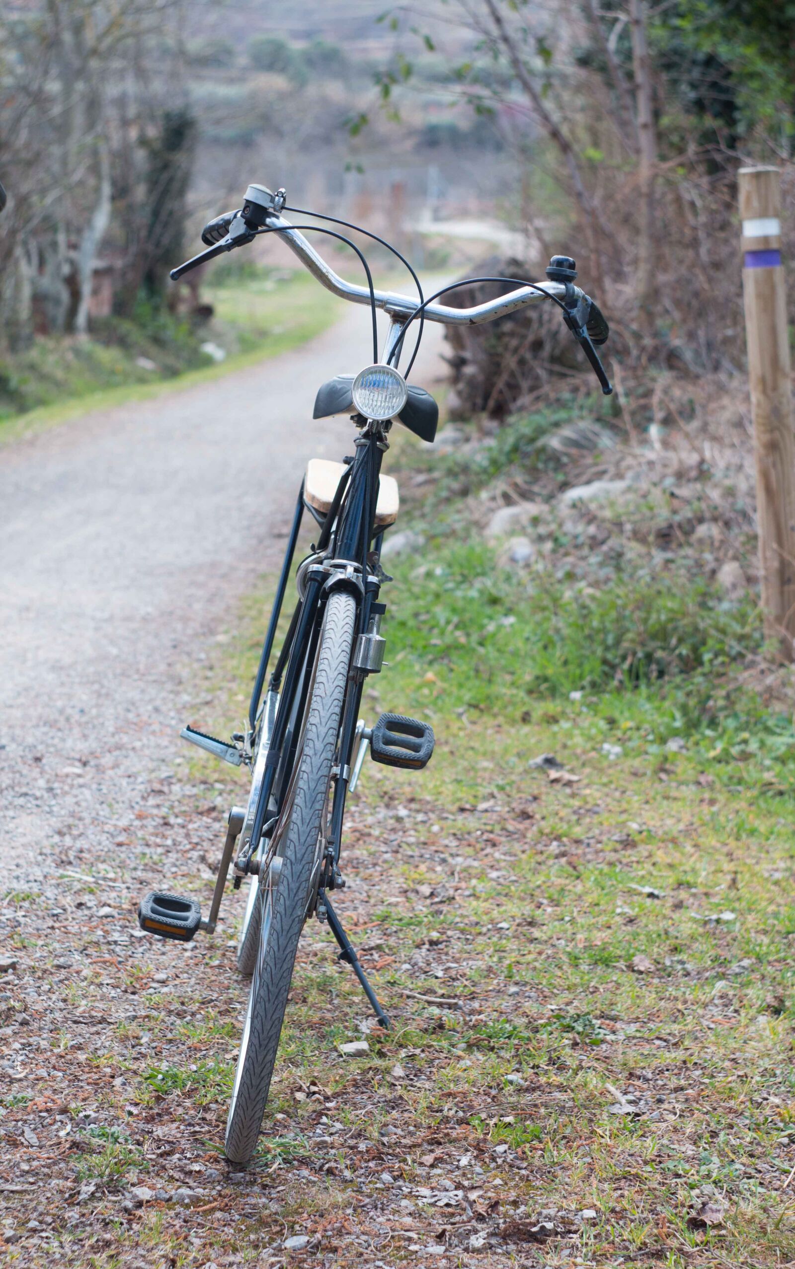 Canon EOS 70D sample photo. Bike, classic, bicycle photography