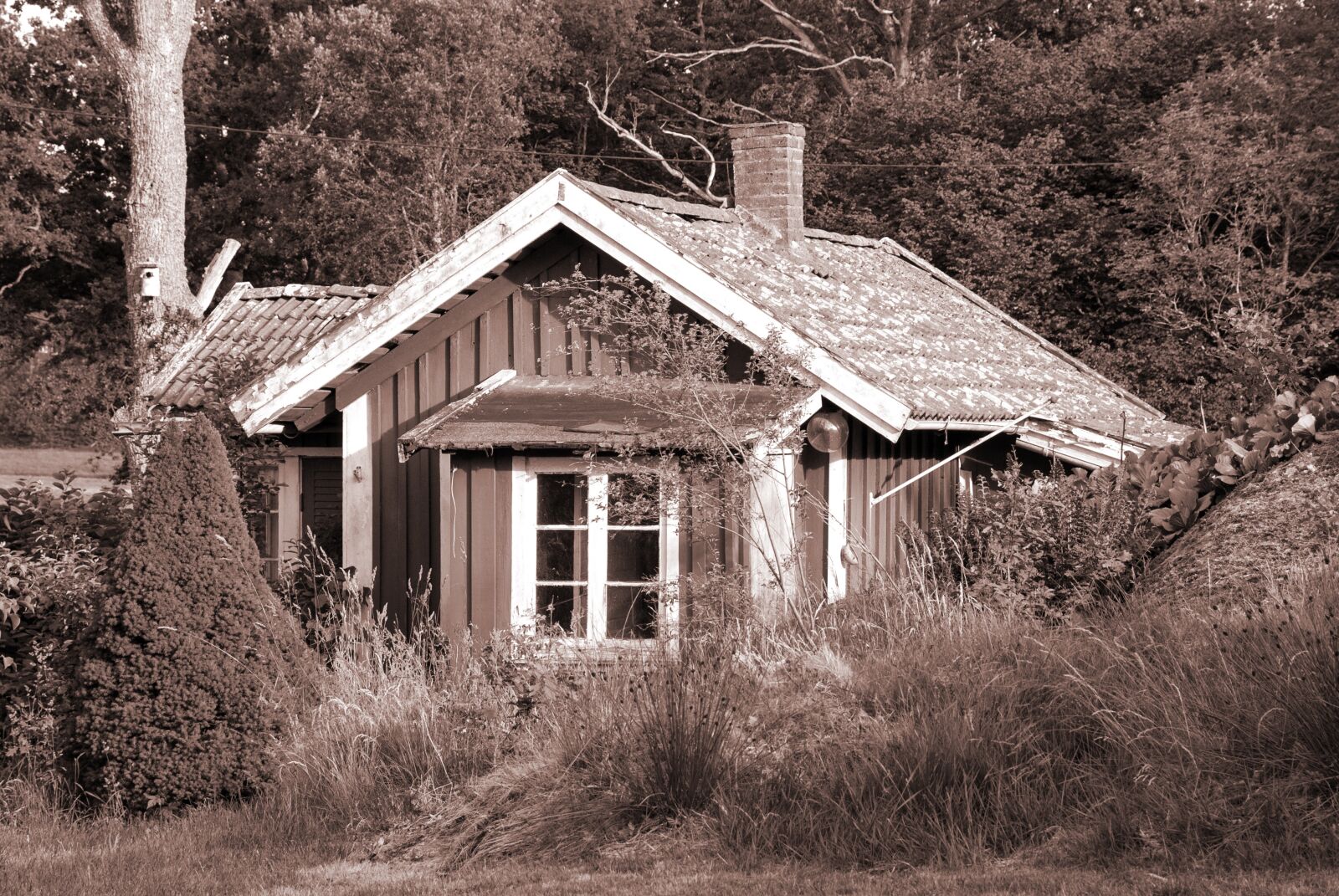 Nikon D80 sample photo. Cottage, old, wooden cottage photography