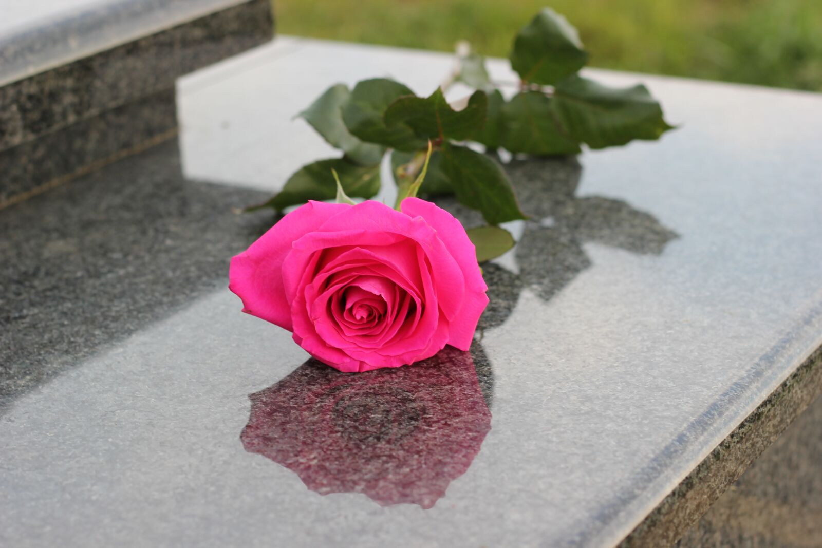 Canon EOS 550D (EOS Rebel T2i / EOS Kiss X4) sample photo. Pink rose, grey marble photography