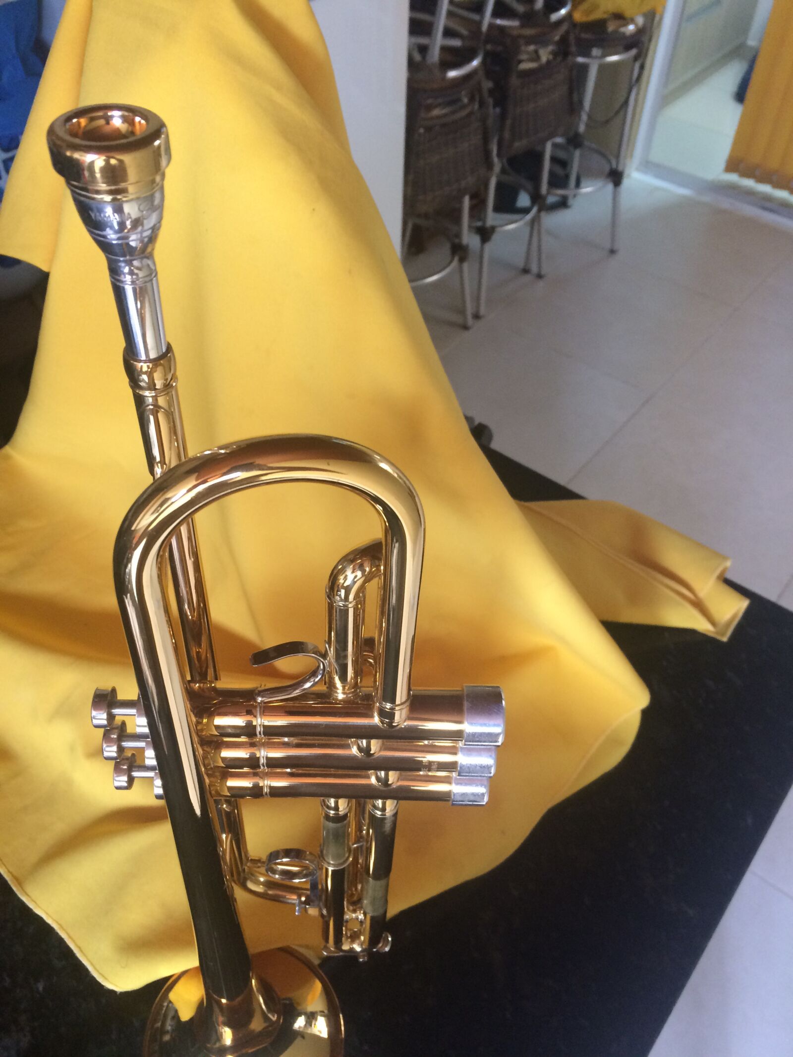 iPhone 5s back camera 4.15mm f/2.2 sample photo. Pet, trumpet, piston photography