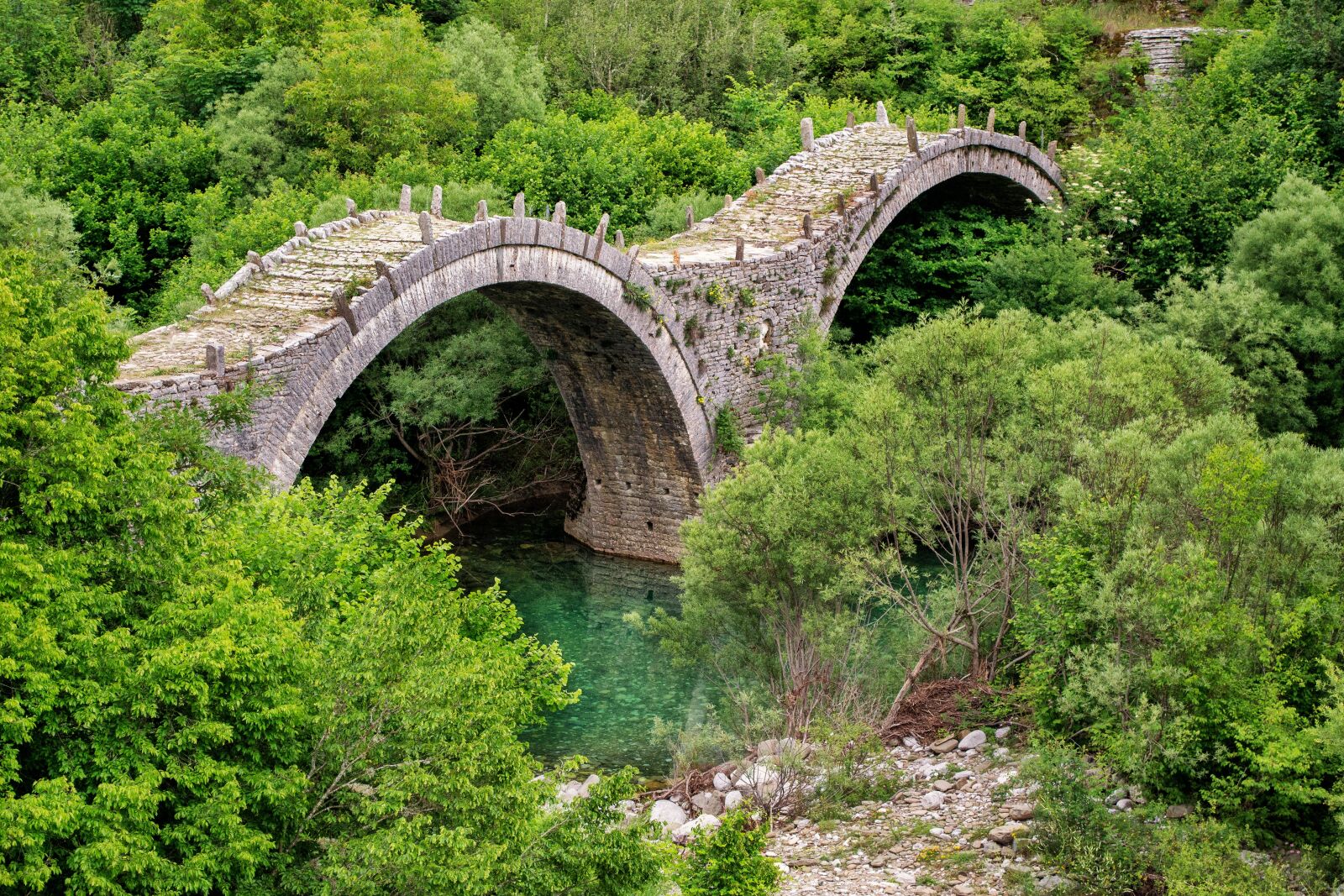 Nikon D3100 sample photo. Beautiful landscape, bridge, green photography