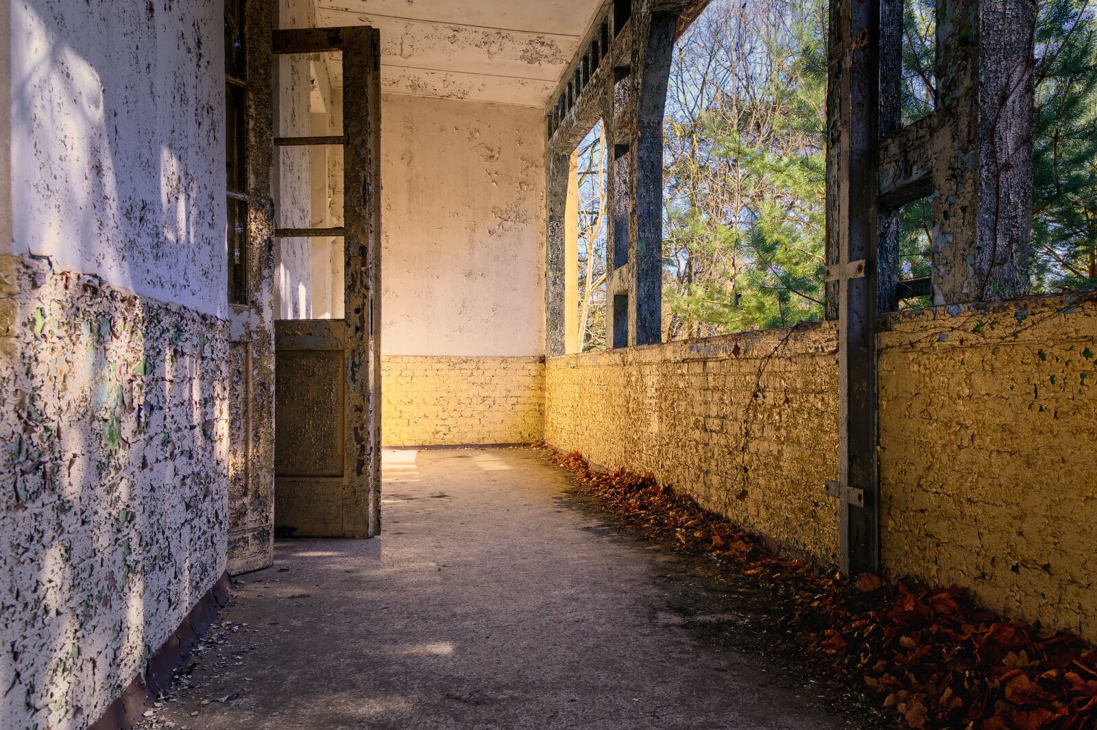 Nikon Z6 sample photo. Balcony, abandoned, transience photography
