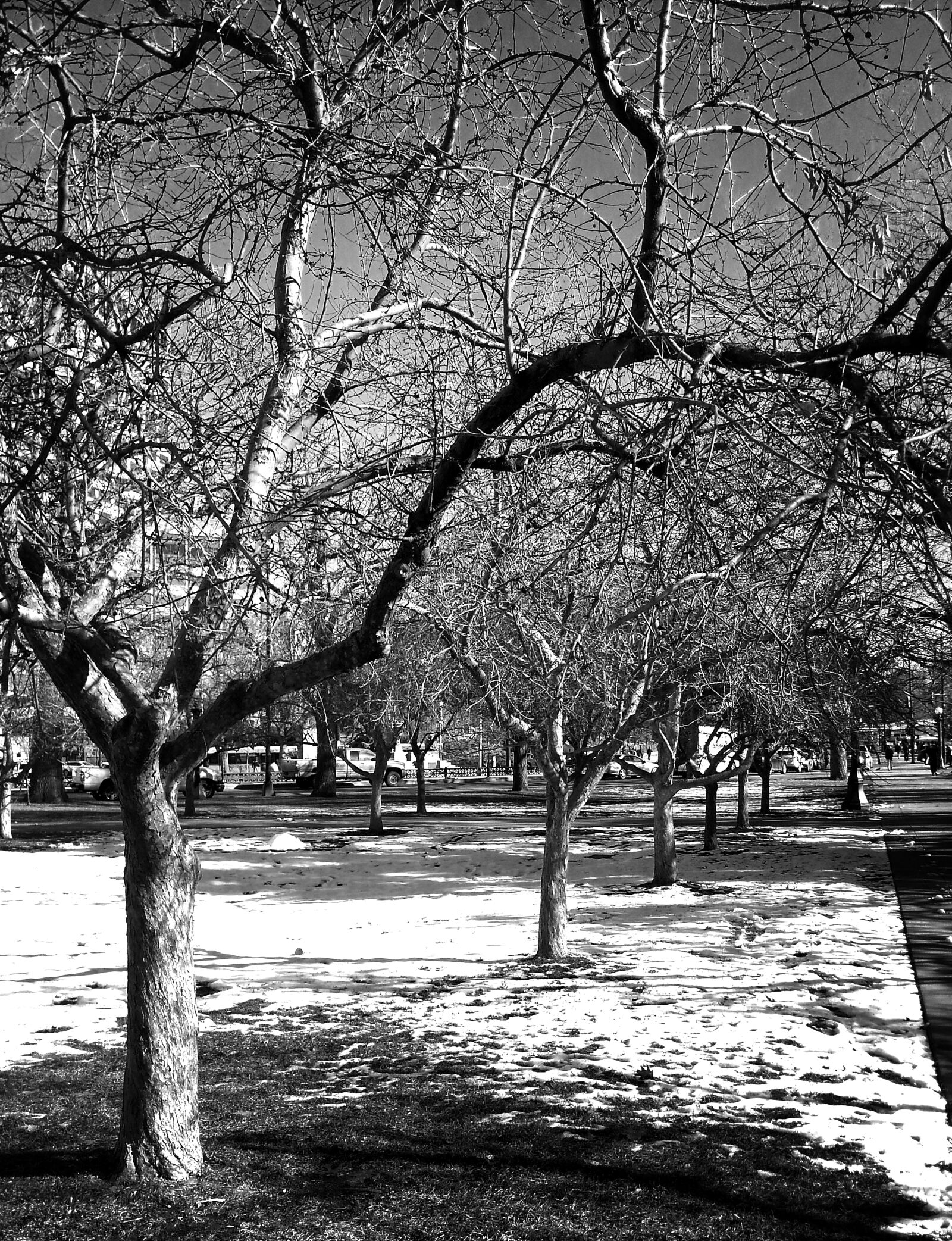 Samsung Galaxy S3 sample photo. Black, white, black, and photography