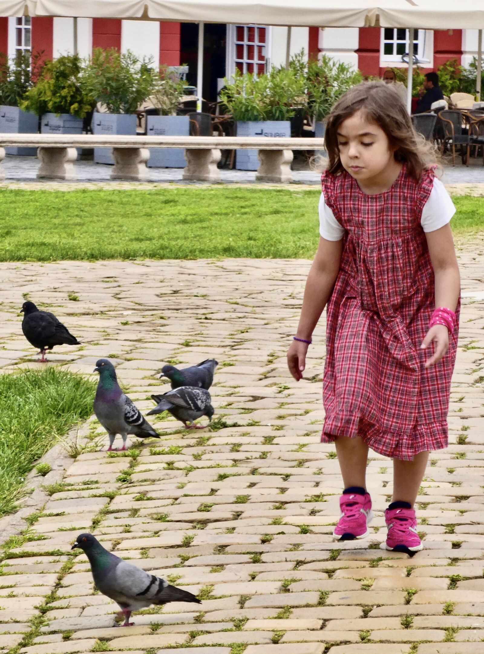 Panasonic Lumix DC-ZS70 (Lumix DC-TZ90) sample photo. Pursuit, child, chase photography