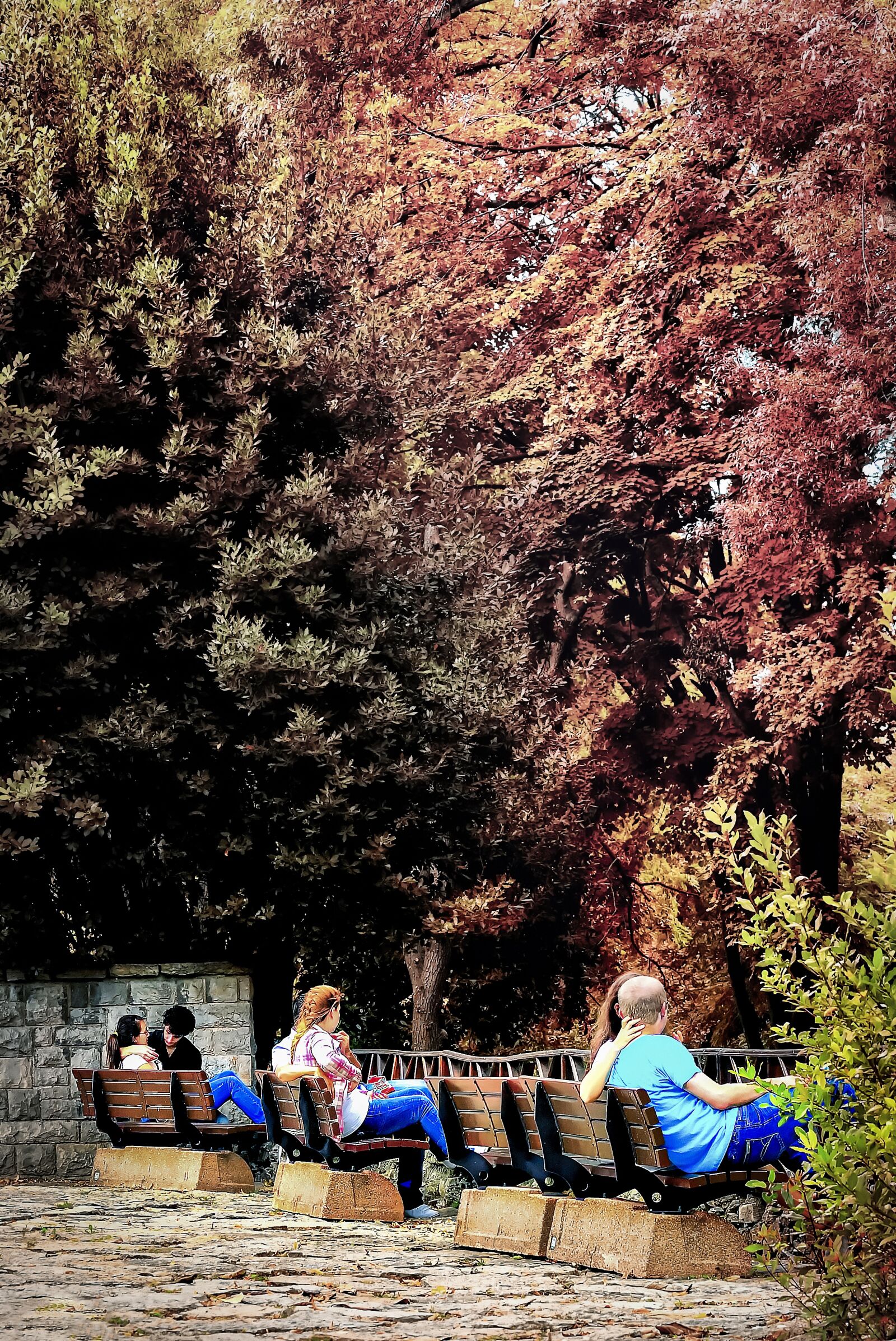 Nikon D3S sample photo. Garden, nature, mood photography