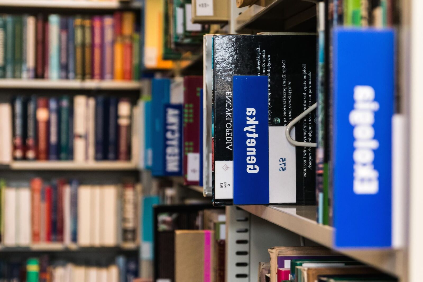Canon EOS 70D sample photo. Bookshelf, shelf, library, collection photography
