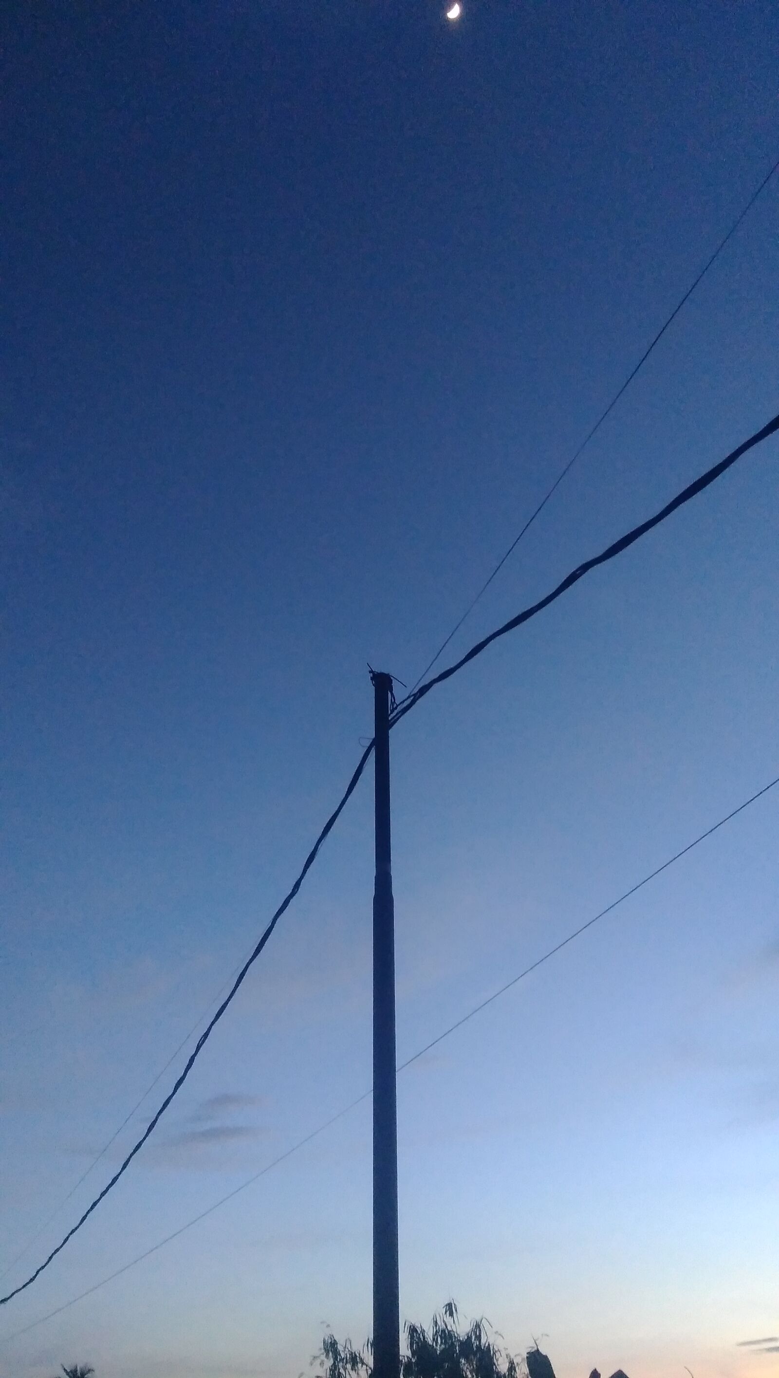 ASUS X00PD sample photo