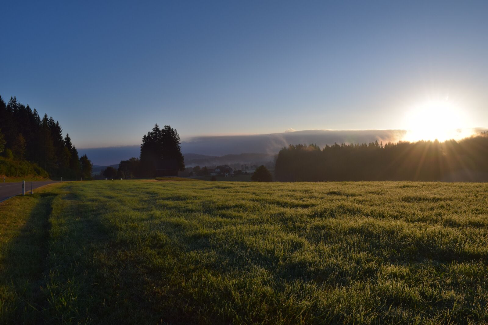 Nikon D3300 sample photo. Sunrise, meadow, summer photography