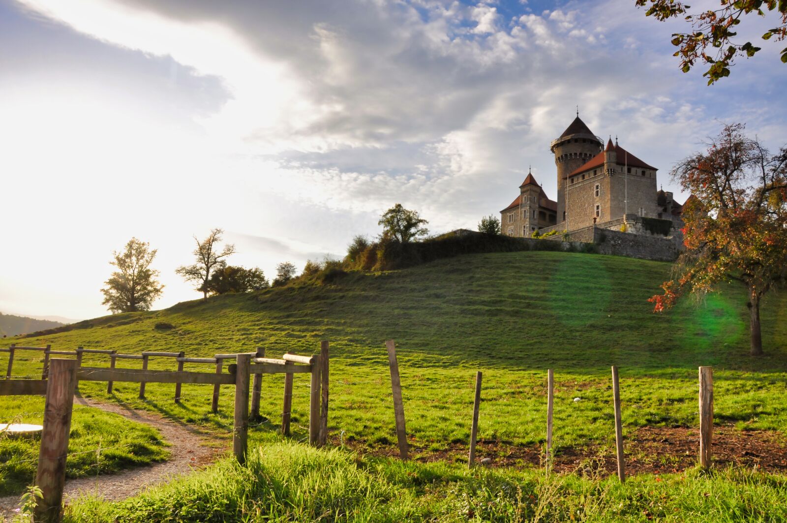 Nikon D90 sample photo. Castle, haute-savoie, fields photography