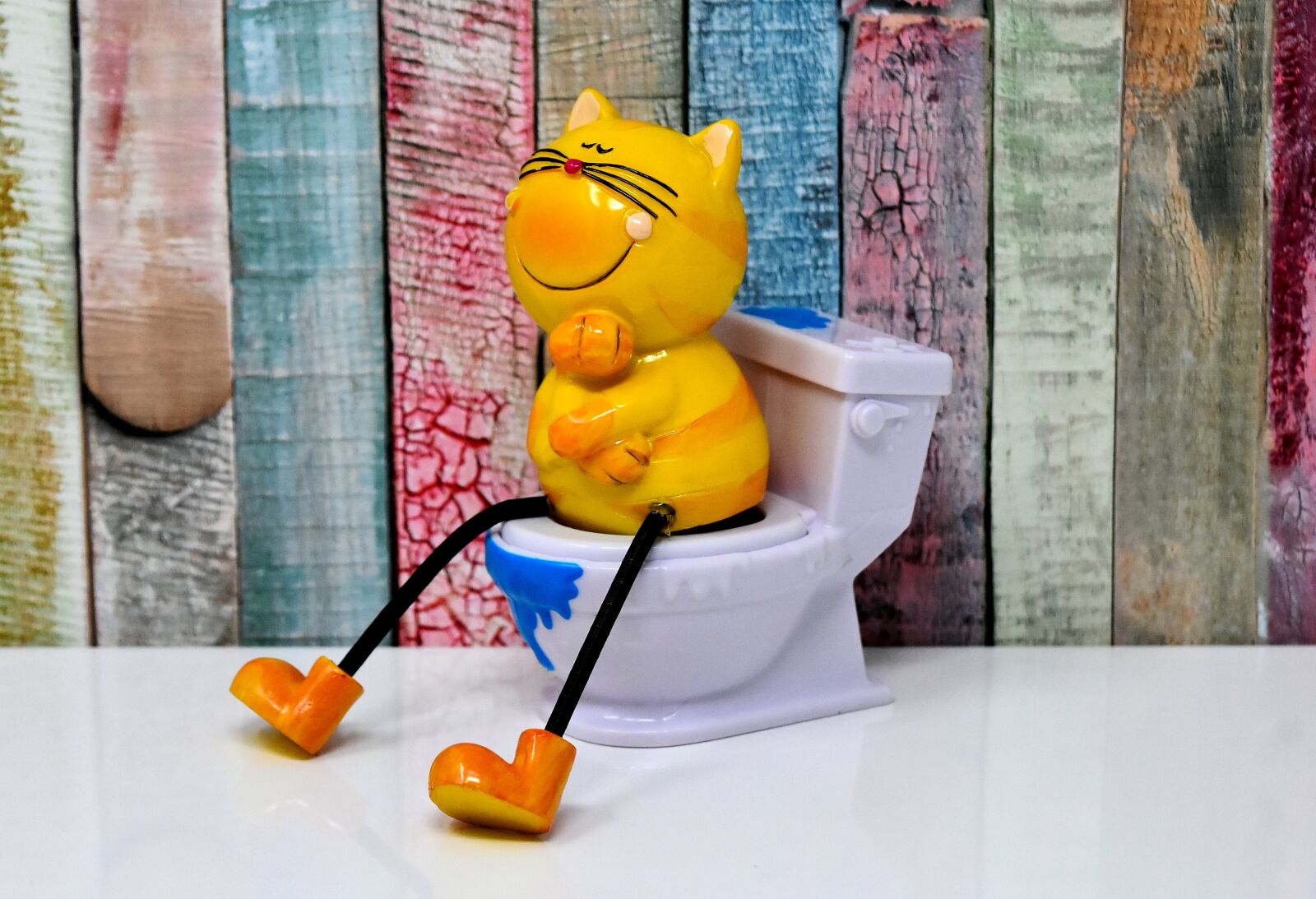 Nikon D7200 sample photo. Litter box, toilet, cat photography