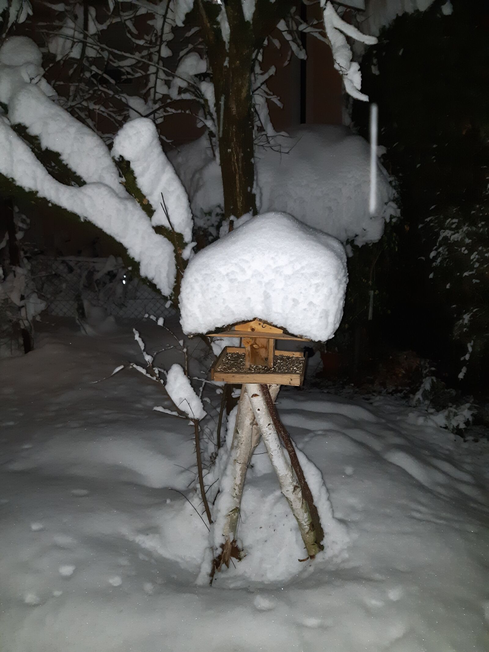 Samsung Galaxy A8(2018) sample photo. Winter, snow, bird feeder photography