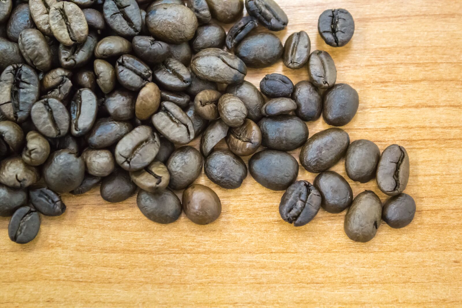Canon EOS 60D sample photo. Coffee, coffee bean, of photography
