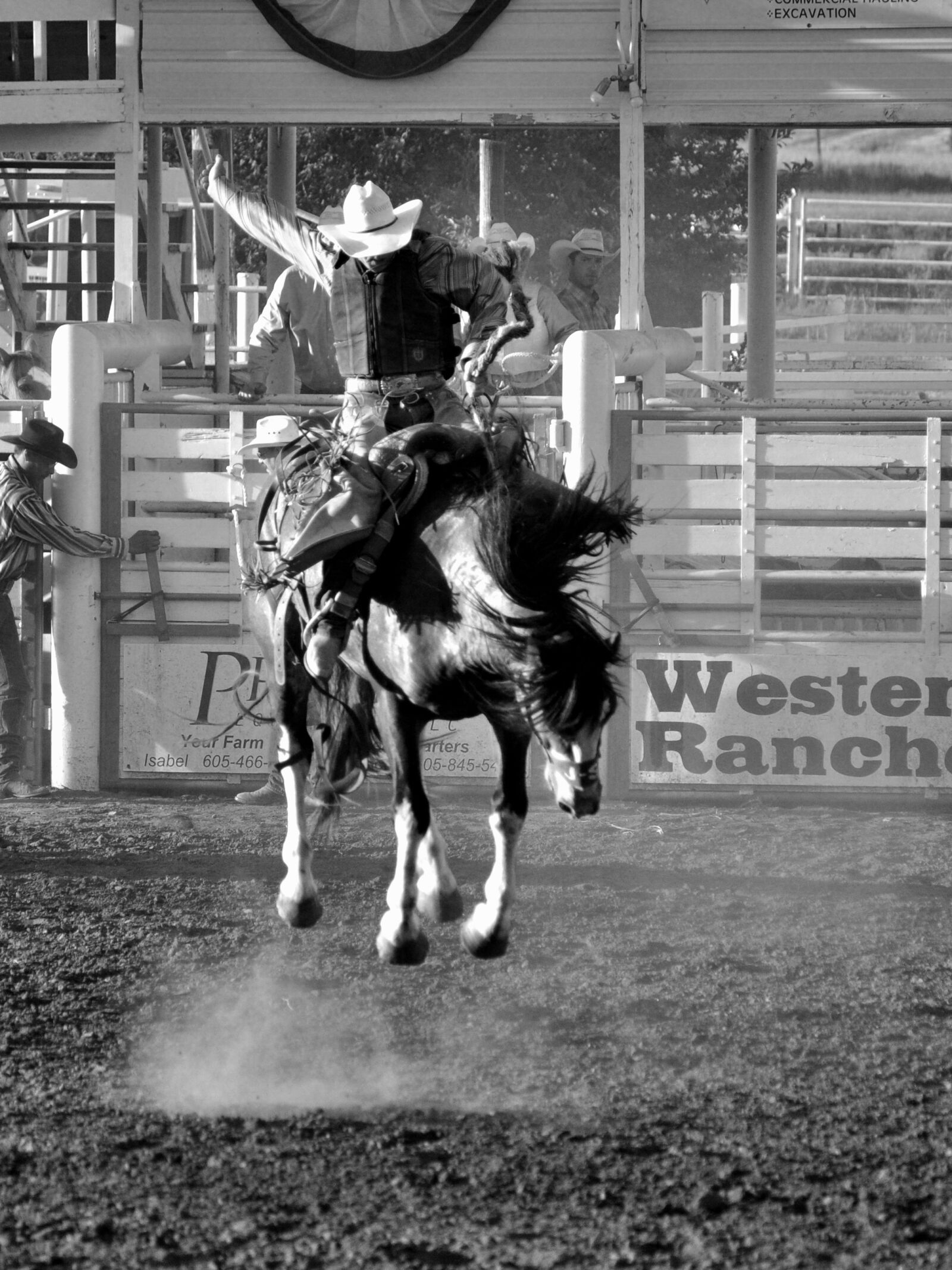 Nikon D5000 sample photo. Horse, rodeo, cowboy photography