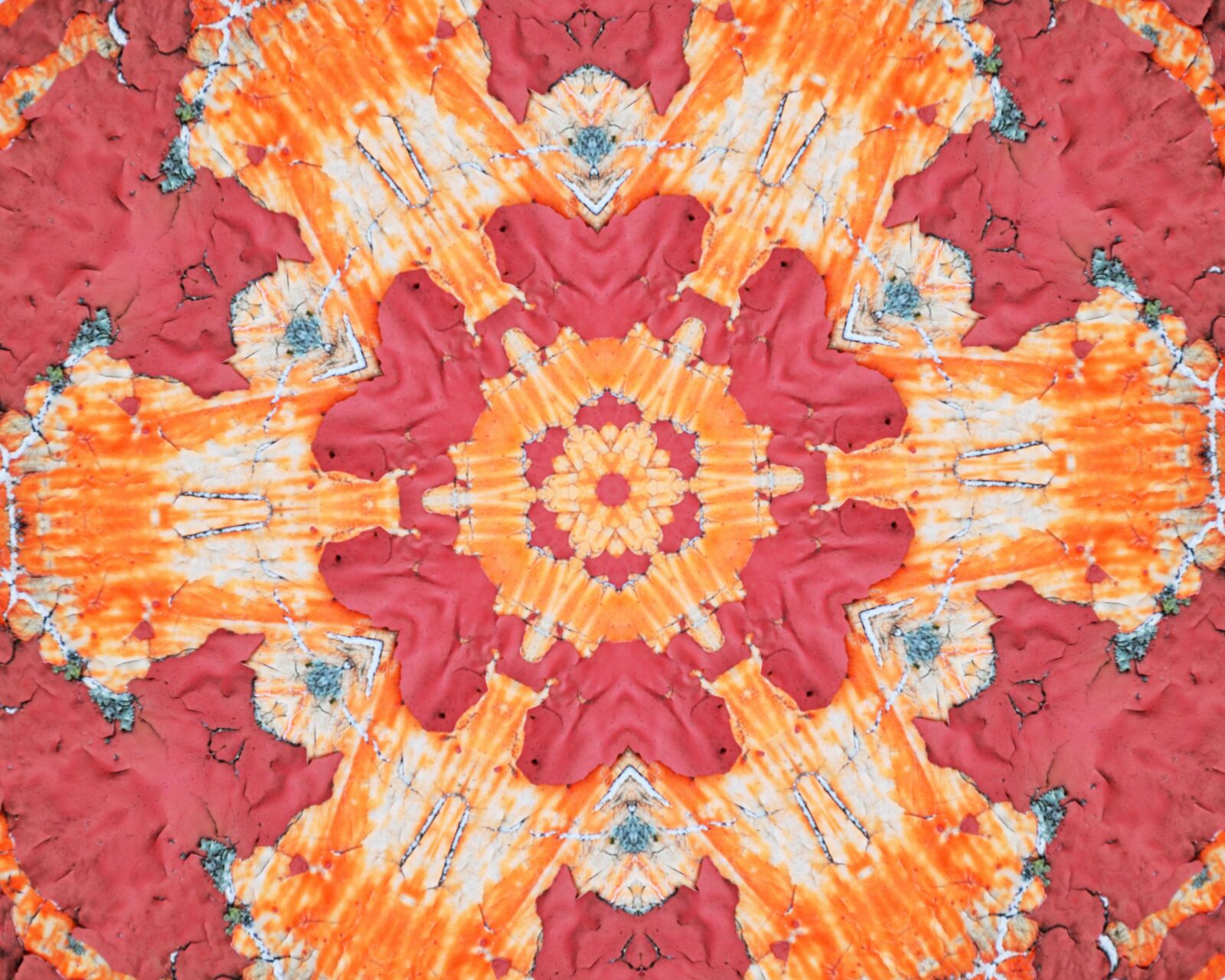 Nikon D5100 sample photo. Mandala, rosette, abstract photography