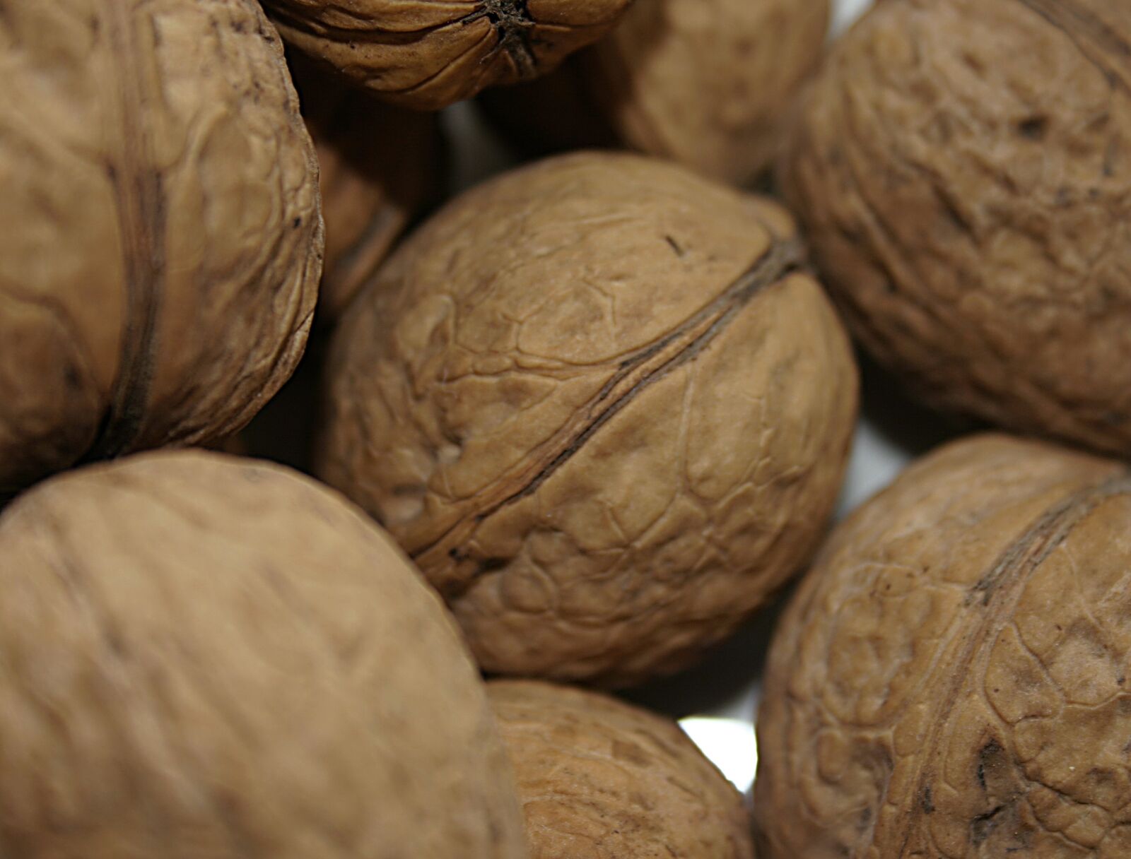 Canon EOS 300D (EOS Digital Rebel / EOS Kiss Digital) sample photo. Walnut, nuts, fresh photography