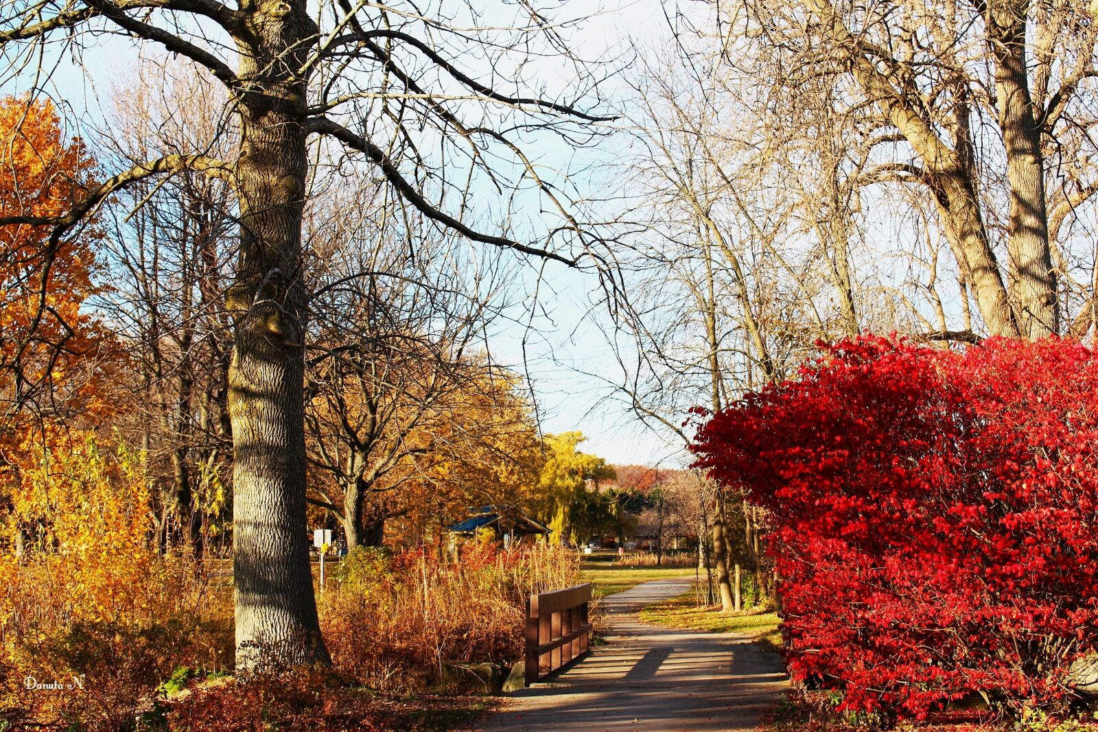 Canon EOS 700D (EOS Rebel T5i / EOS Kiss X7i) sample photo. The autumnal park, alley photography