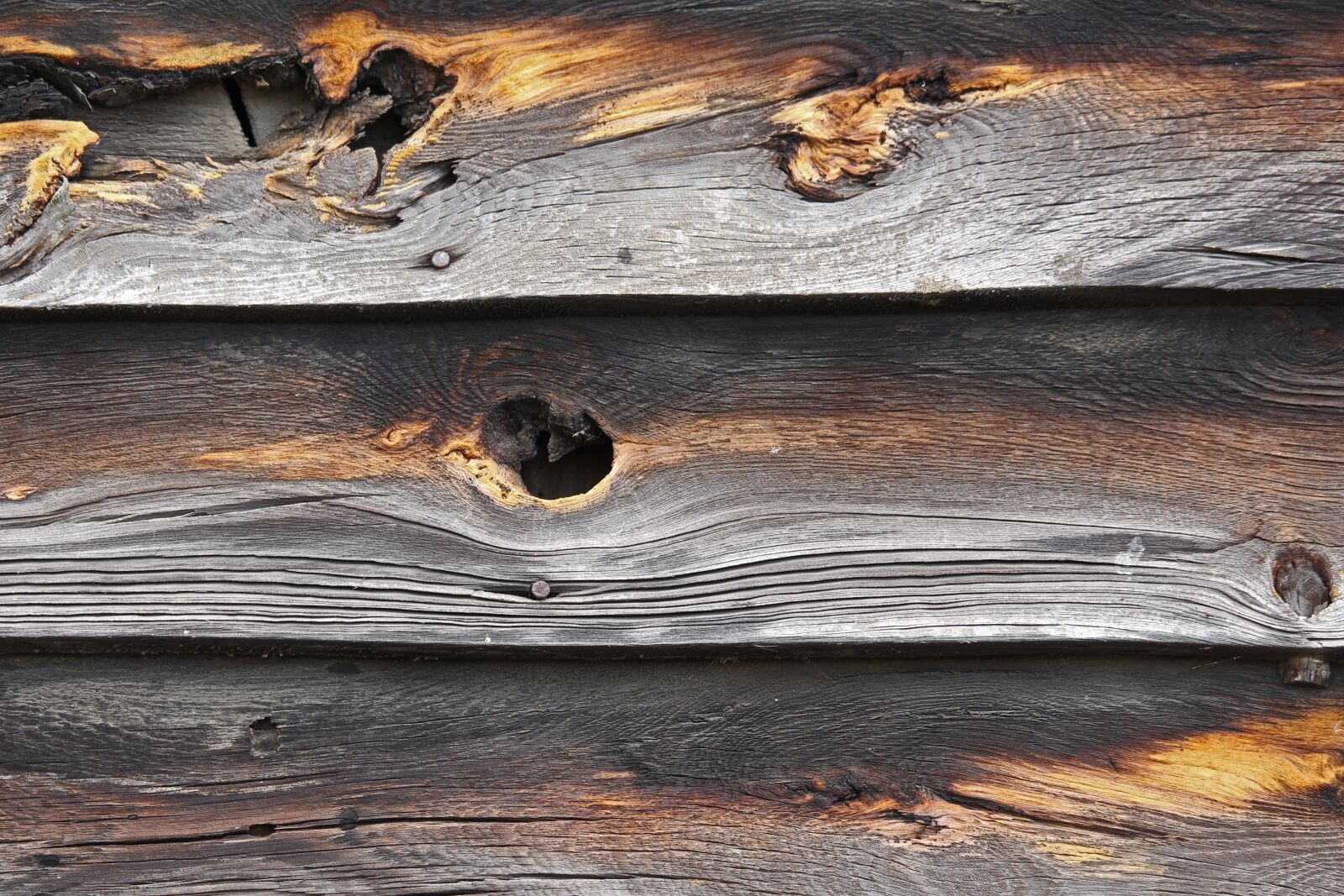 Canon EF-S 55-250mm F4-5.6 IS STM sample photo. Background, wood, texture photography