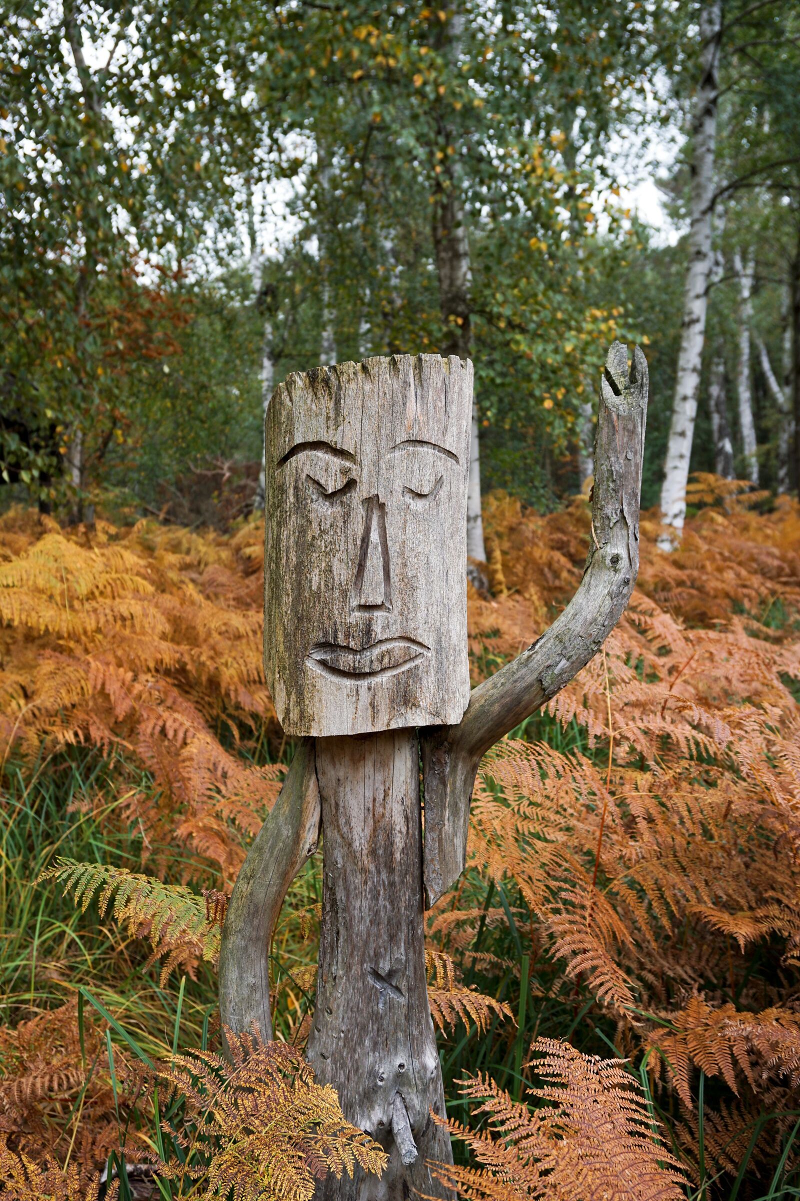 Sony a6000 sample photo. Sculpture, wood, autumn photography