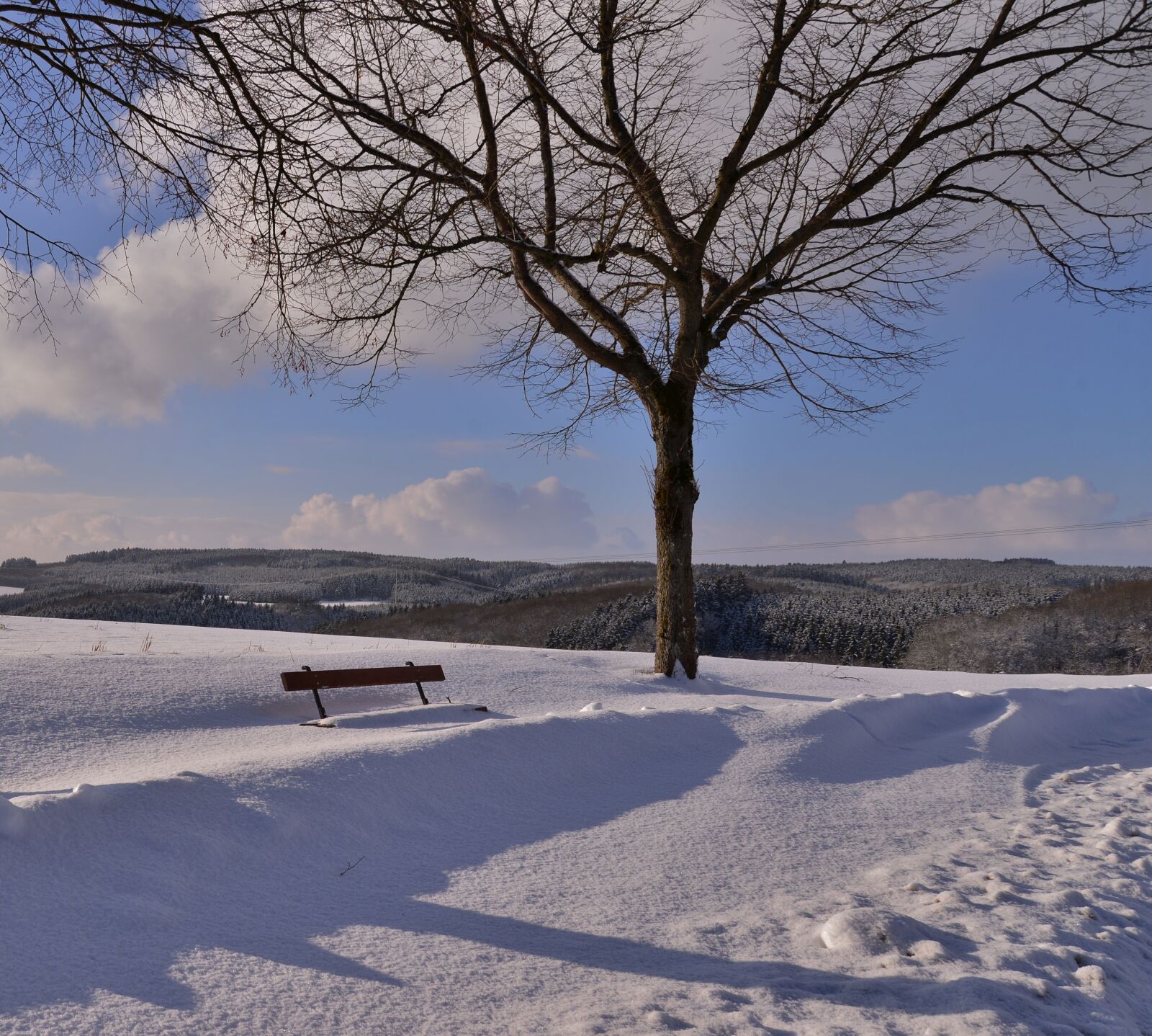 Nikon D600 sample photo. Winter landscape, bench, winter photography