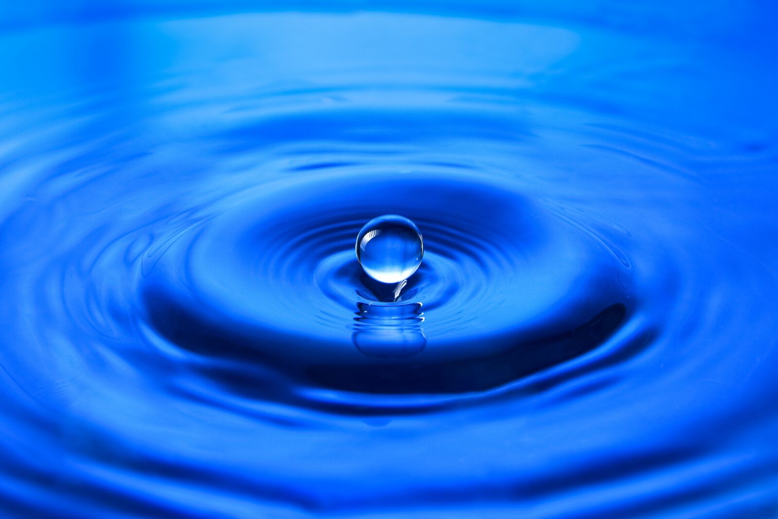 Nikon D7200 sample photo. Drip, gopher, wet photography