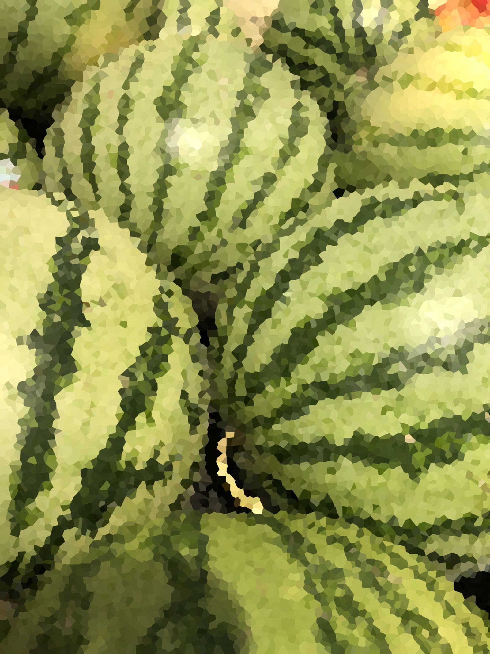 iPhone X back dual camera 4mm f/1.8 sample photo. Watermelon, fruit, food photography