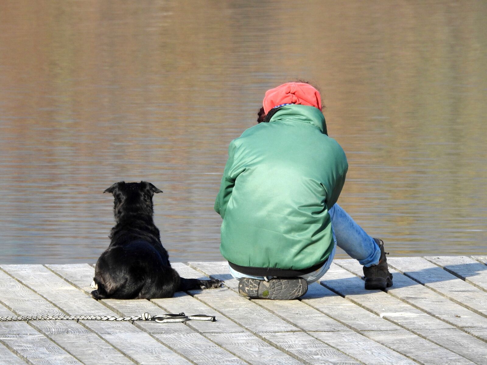Nikon Coolpix P900 sample photo. Man and animal, friendship photography