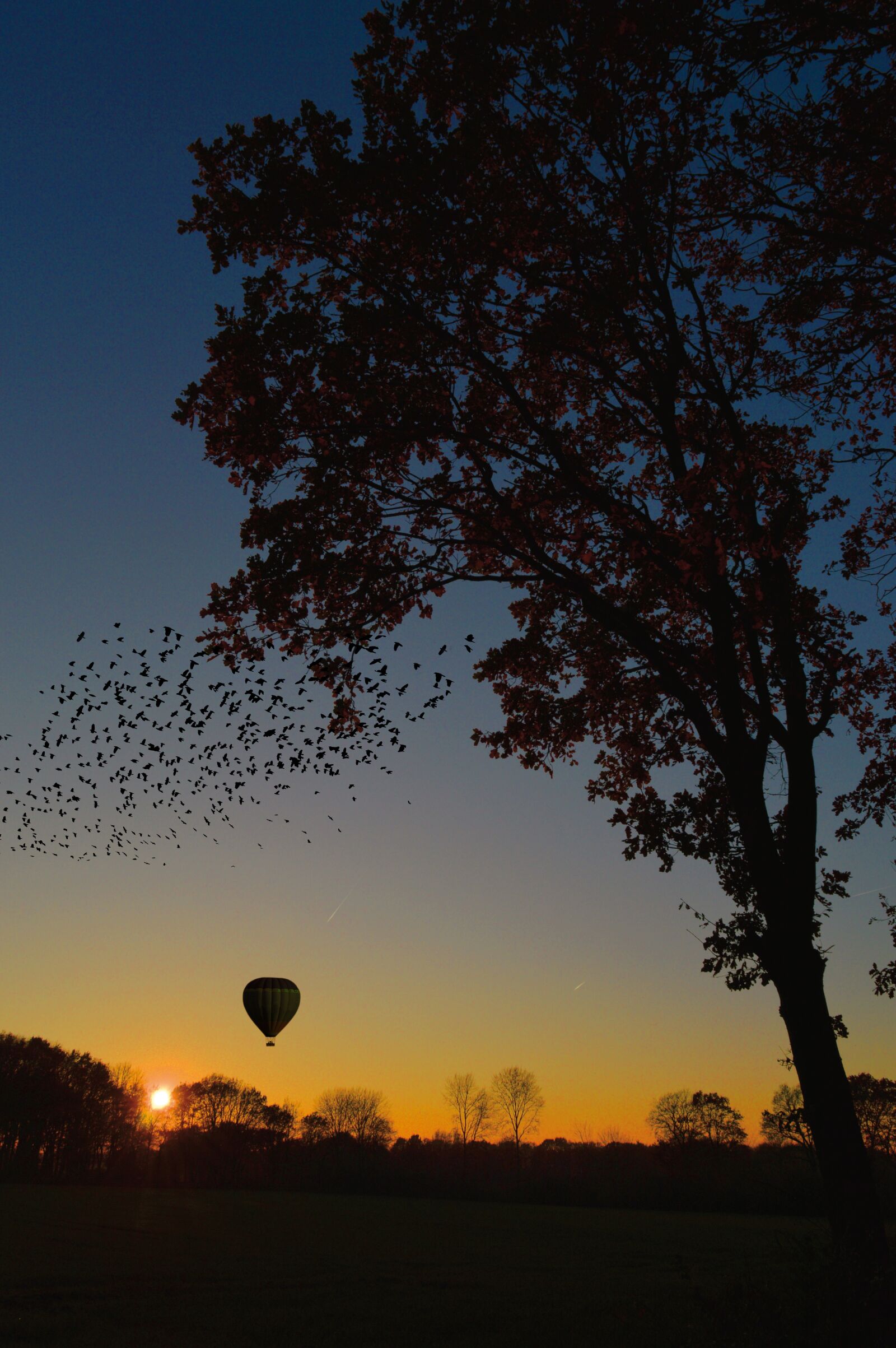 Nikon D3200 sample photo. Sunset, landscape, trees photography