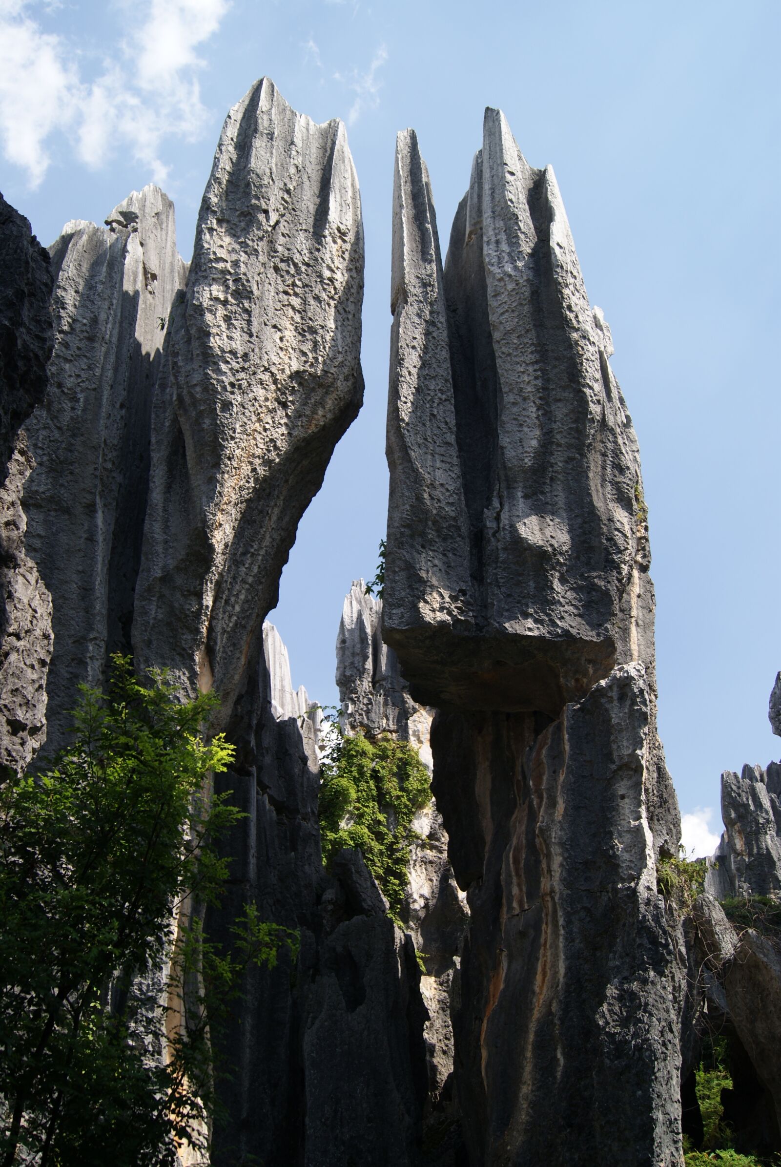 Sony Alpha DSLR-A230 sample photo. Stone forest, rock, shilin photography