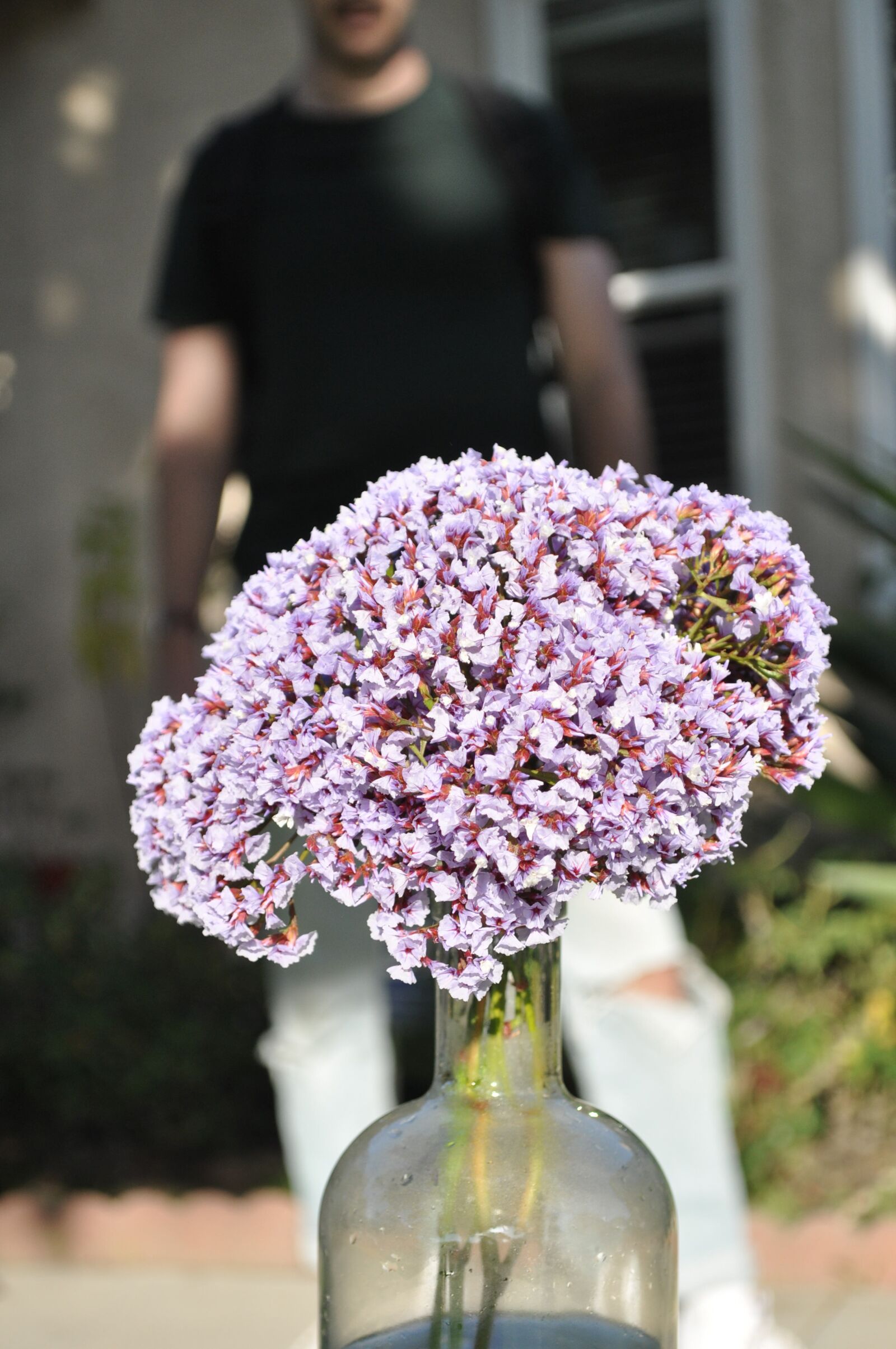 Nikon D5000 sample photo. Flowers, man, purple photography