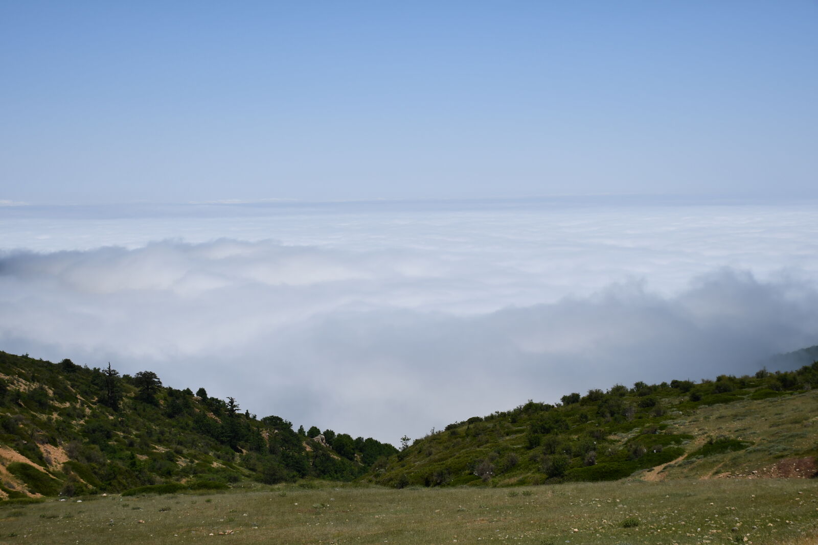 Nikon D7500 sample photo