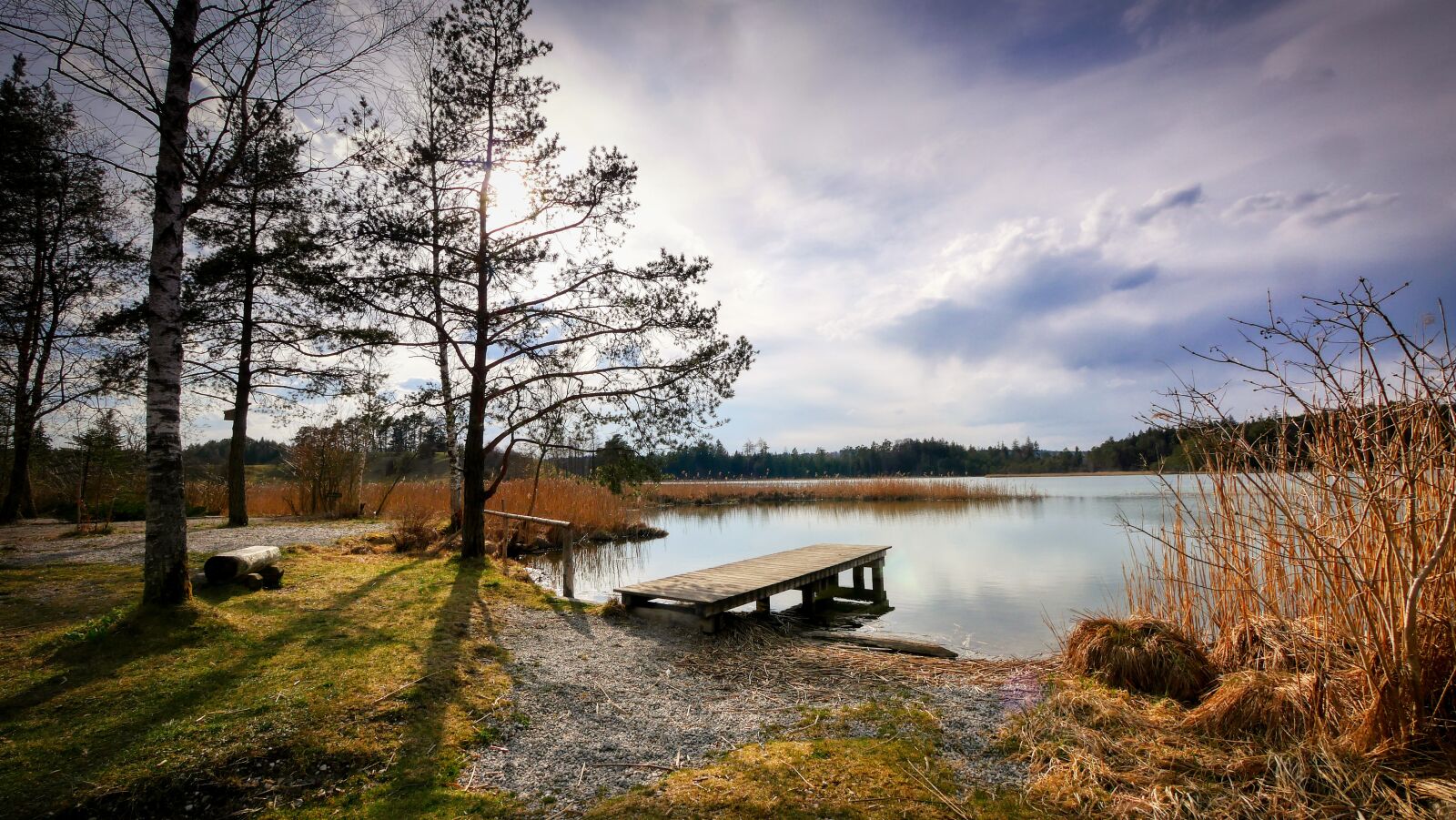 Panasonic Lumix DMC-GX8 sample photo. Lake, tree, reed photography