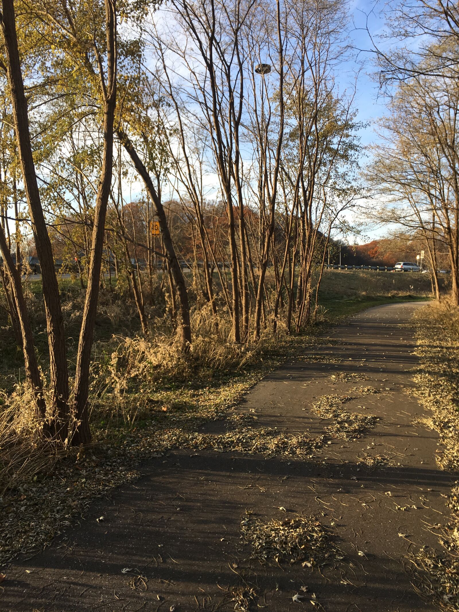 iPhone 6s Plus back camera 4.15mm f/2.2 sample photo. Canada, sun, peace photography