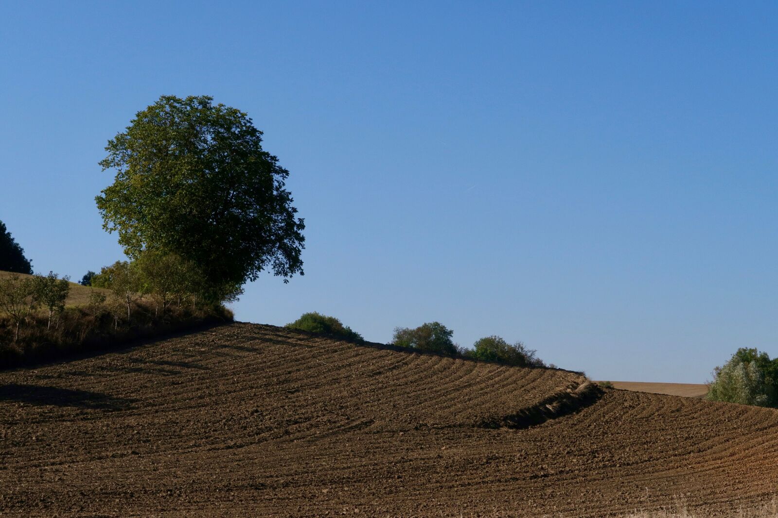 Canon PowerShot G7 X Mark II sample photo. Field, autumn, harvested photography