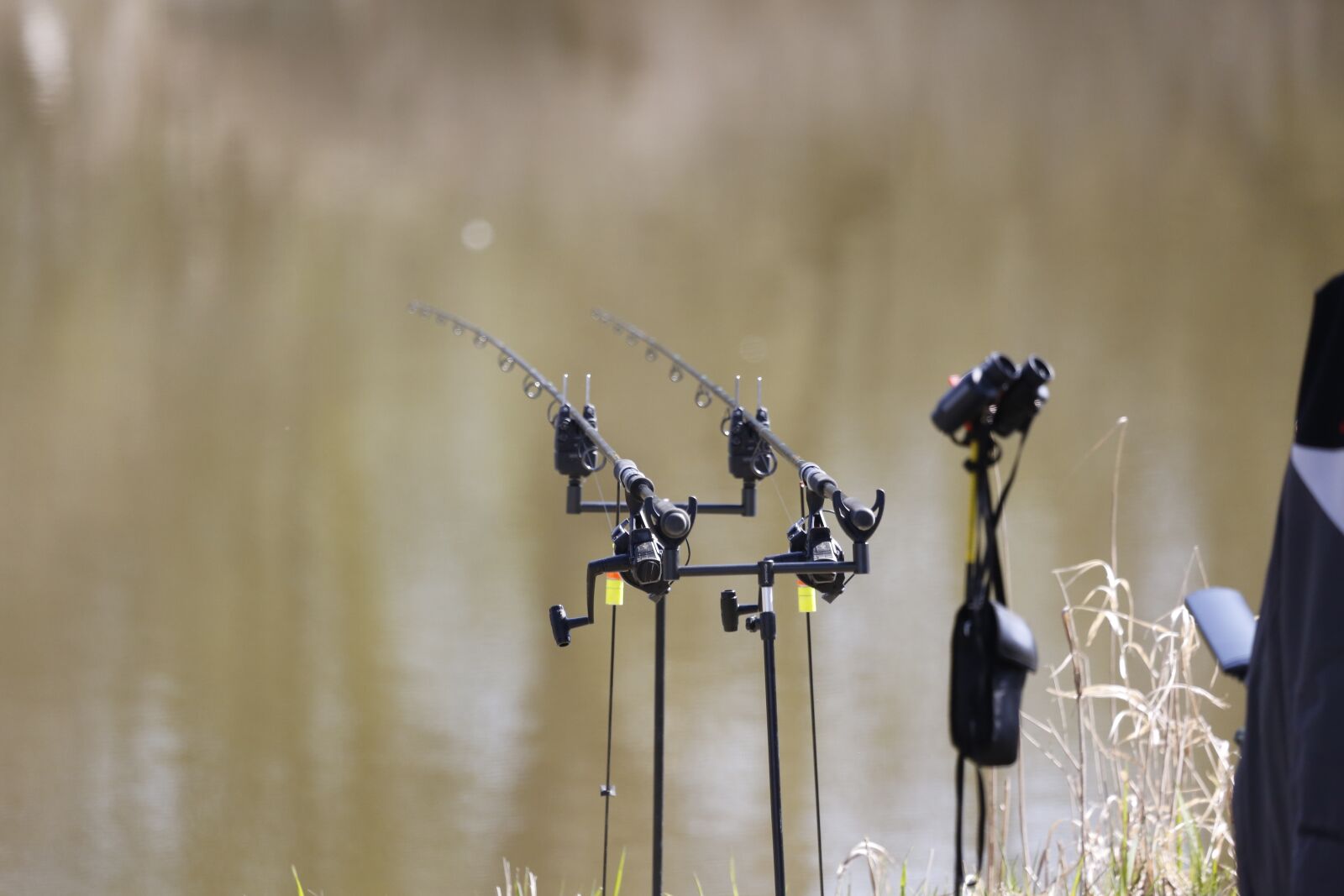 Canon EF 100-400mm F4.5-5.6L IS USM sample photo. Fish, fishing, rods photography