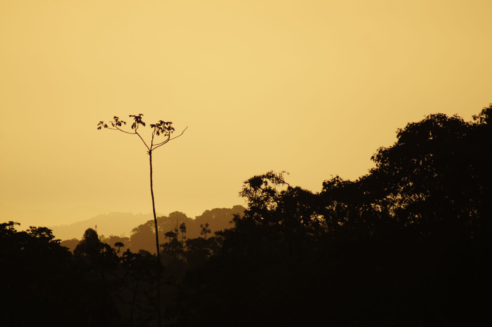 Sony SLT-A55 (SLT-A55V) sample photo. Sunsets, salento, quindio photography