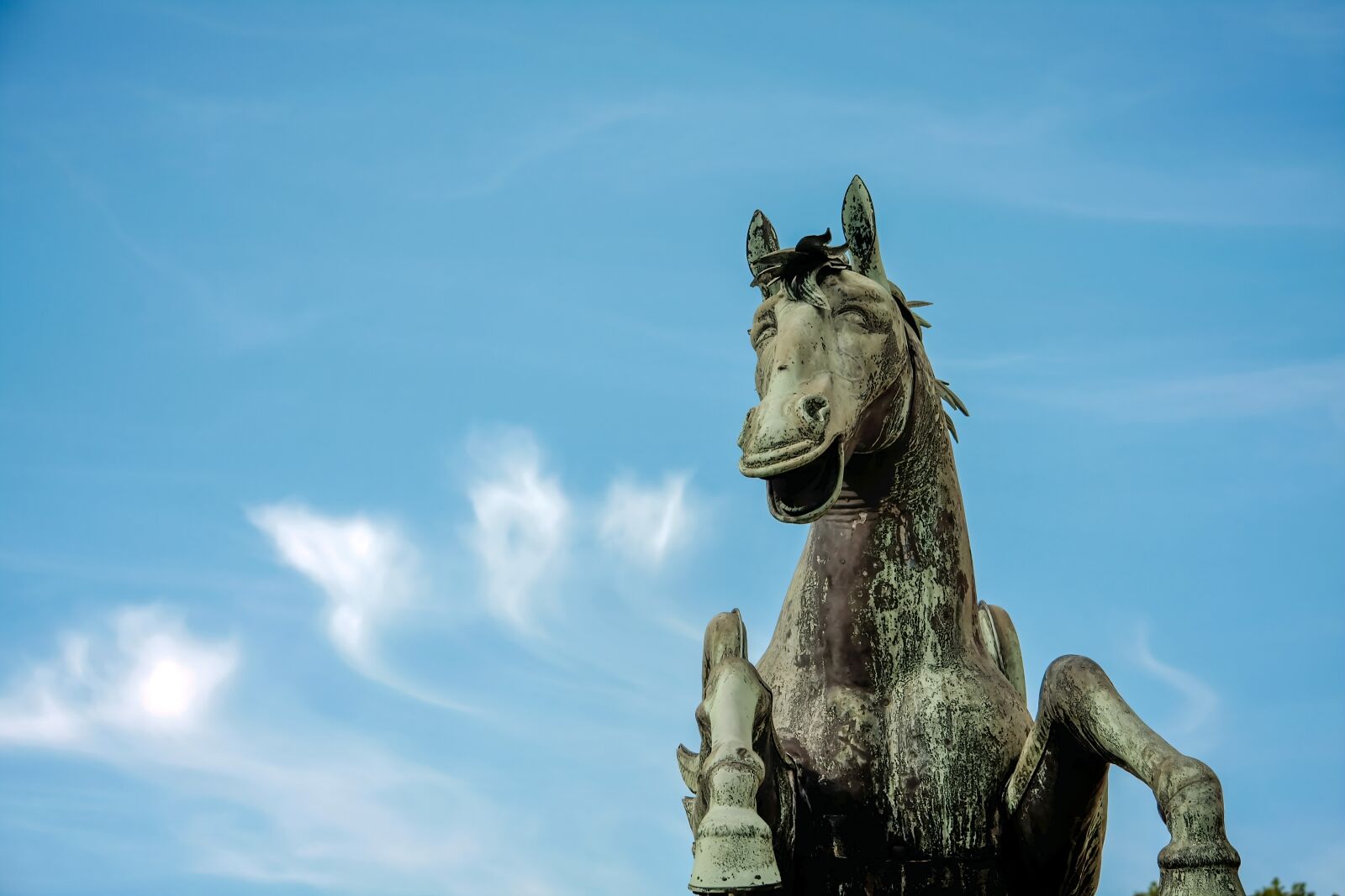 Canon EOS 40D sample photo. Horse, statue, fun photography