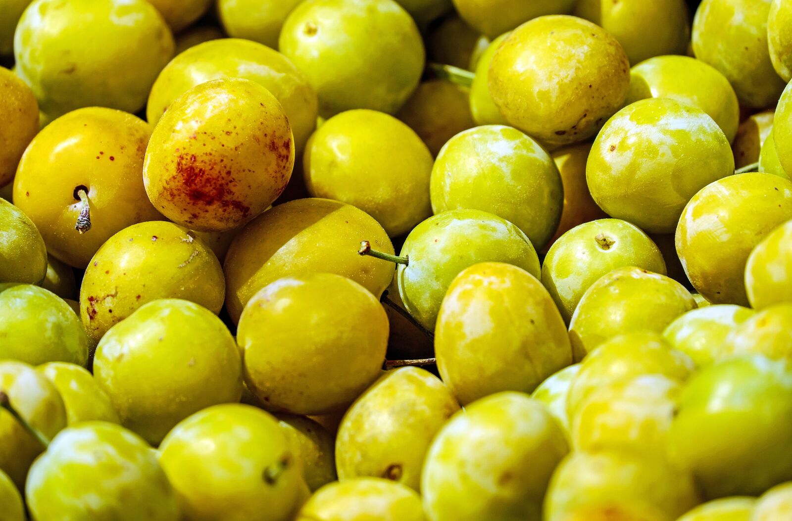 Fujifilm X-T10 + Fujifilm XC 50-230mm F4.5-6.7 OIS sample photo. Yellow plums, fruit, stone photography