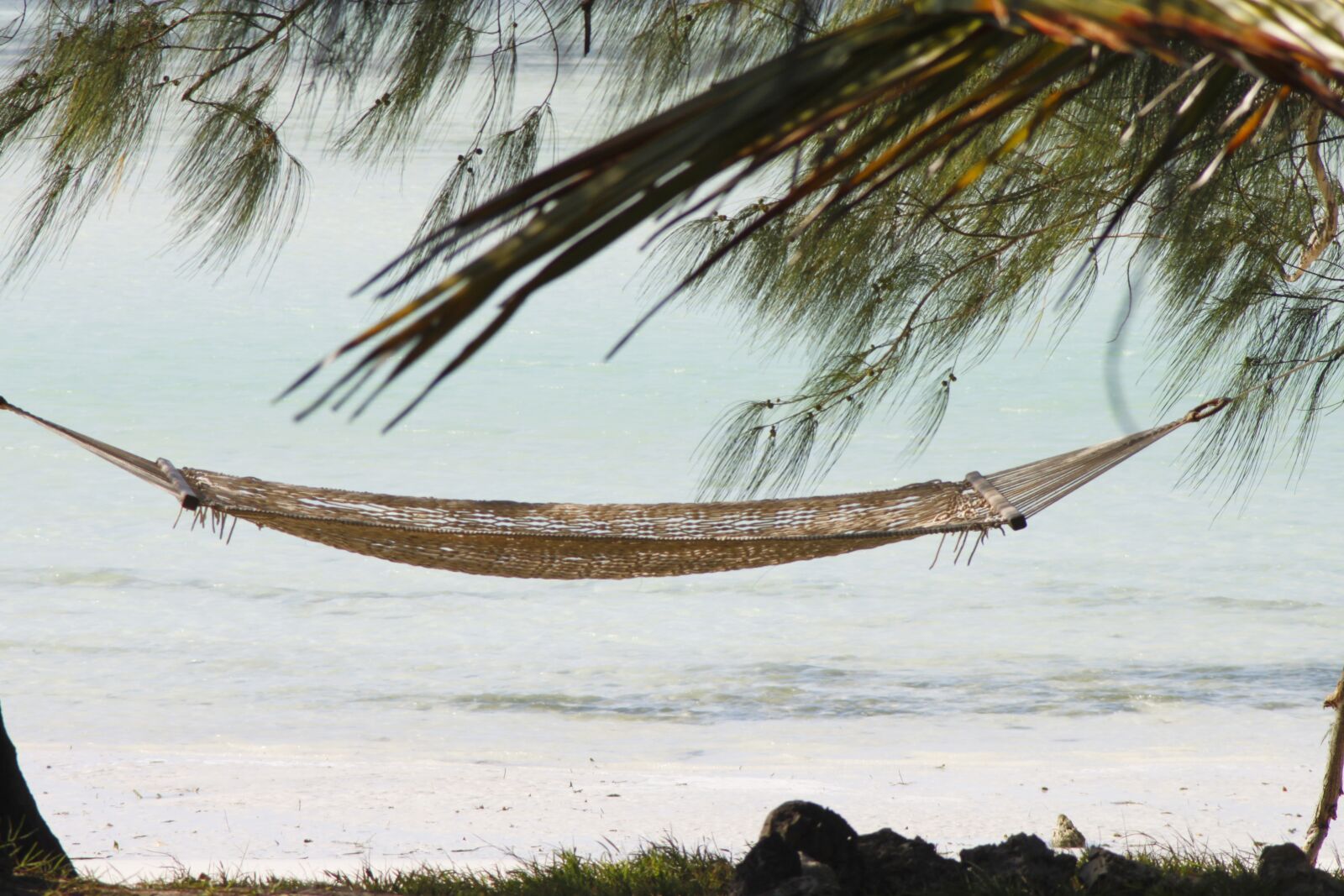 Canon EOS 500D (EOS Rebel T1i / EOS Kiss X3) sample photo. Hammock, zanzibar, vacations photography