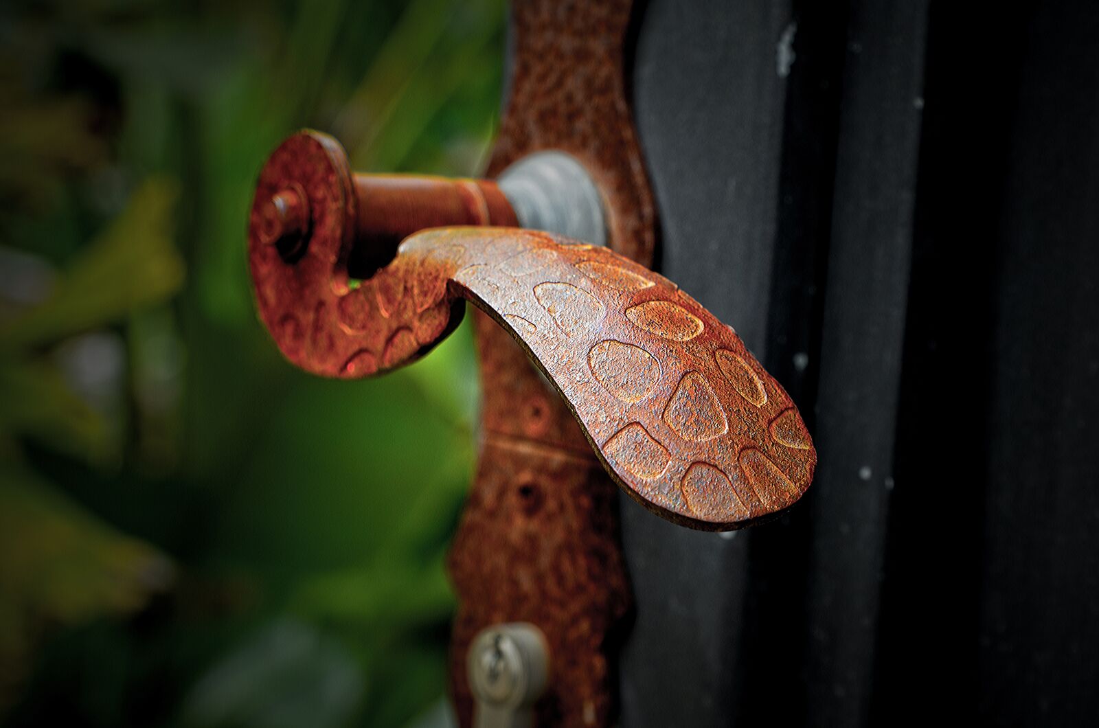 Nikon D7000 sample photo. Nature, desktop, wood photography
