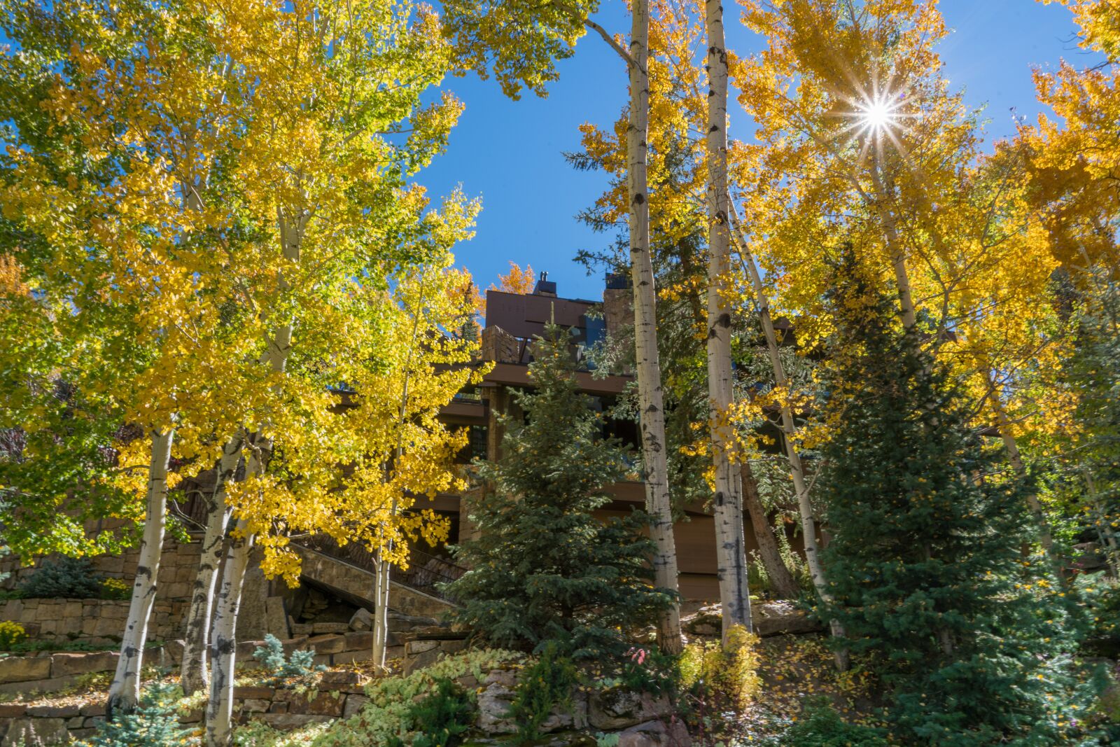 Sony a7R II + Sony FE 24-240mm F3.5-6.3 OSS sample photo. Vail, colorado, foliage photography